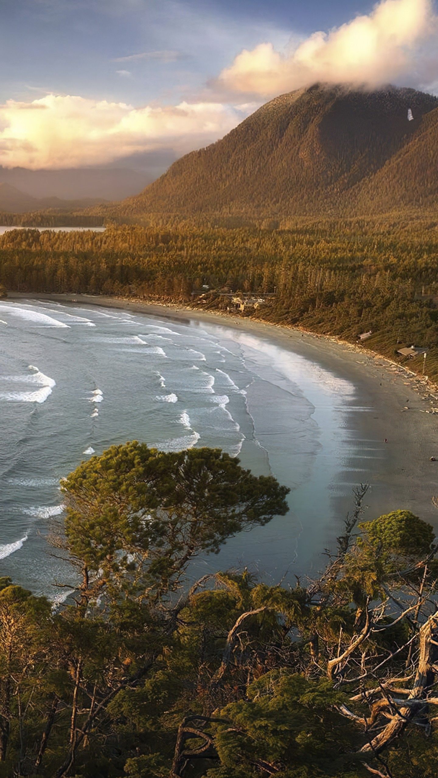 1440x2560 Tofino Wallpaper