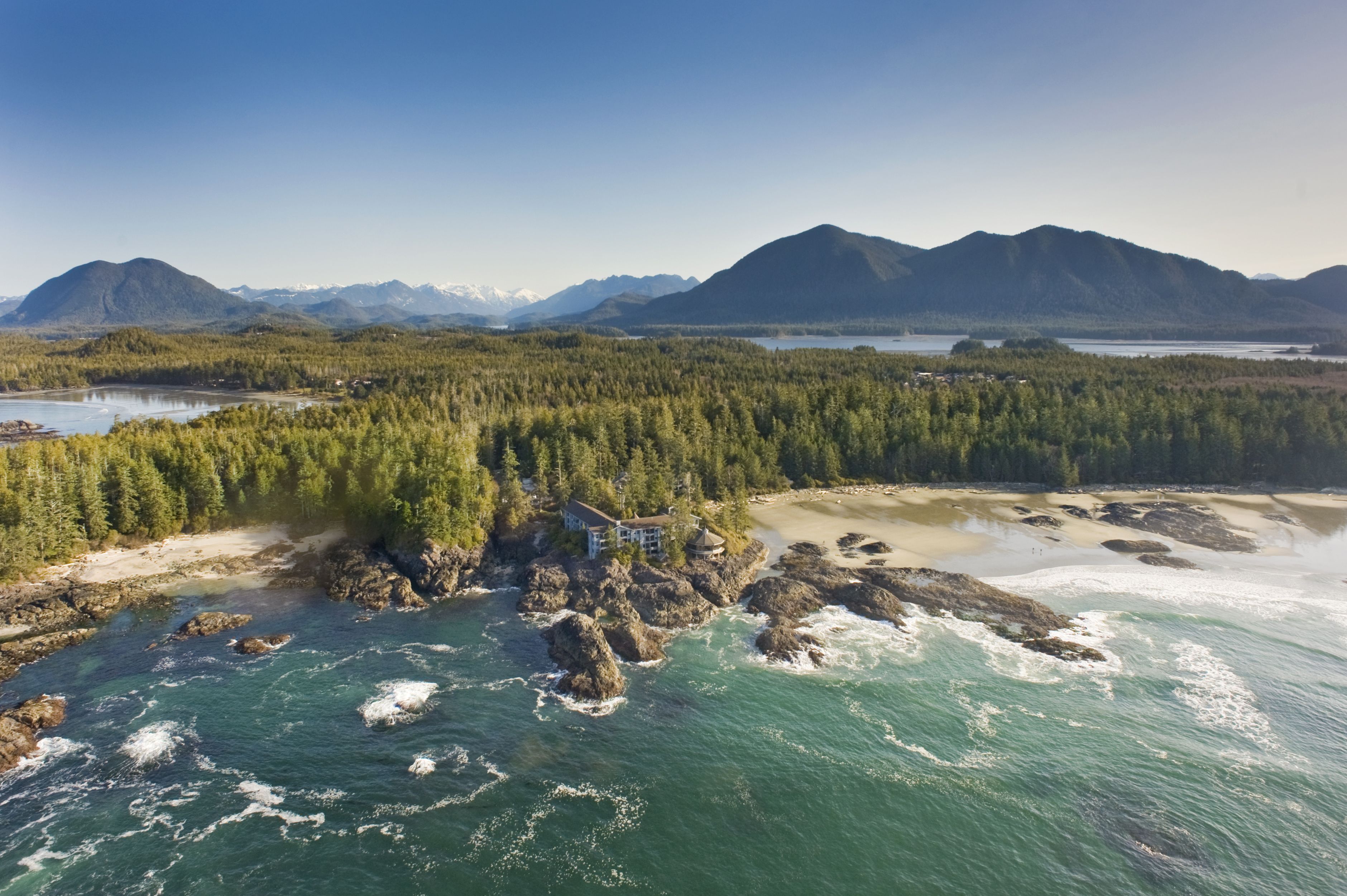 3760x2502 INTO THE WILD. INSIGHT: The Art of Living