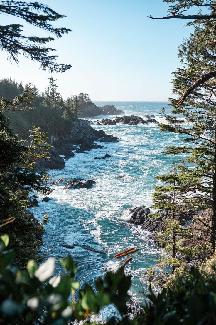 736x1104 A Magical Weekend in Tofino, Canada Vogue or Bust