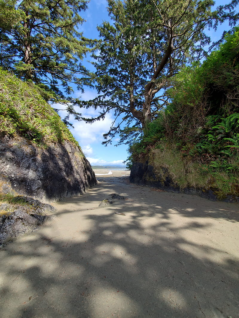 800x1067 HD long beach tofino wallpaper