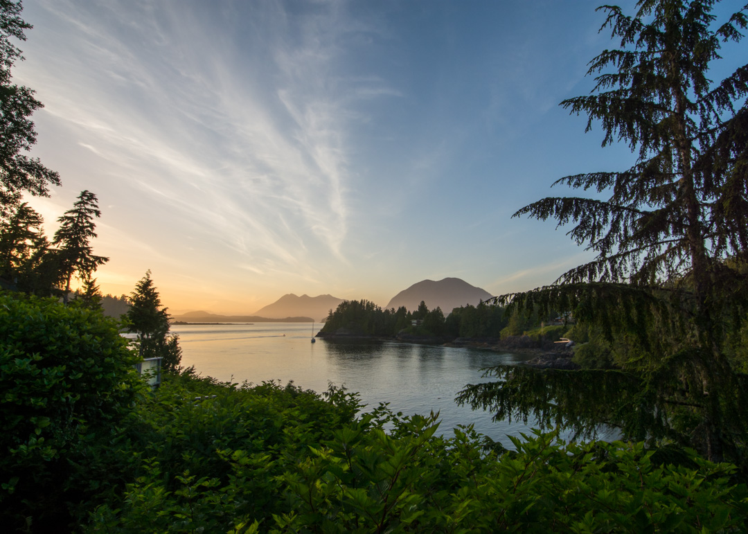 1080x771 Surf Culture & Old Forest Walks in Tofino, BC