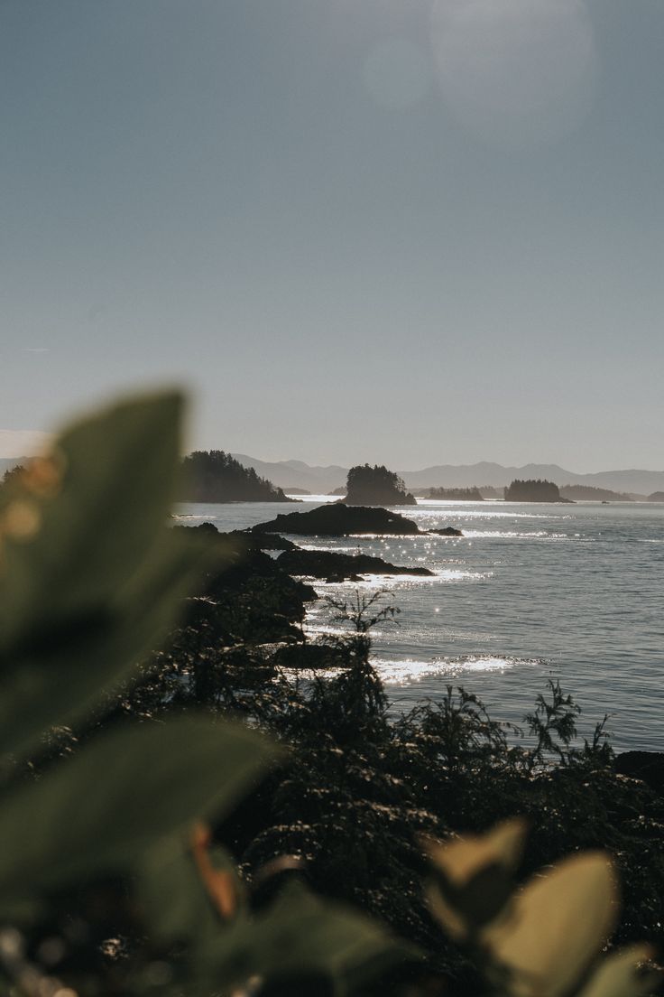 736x1104 West Coast Wallpaper