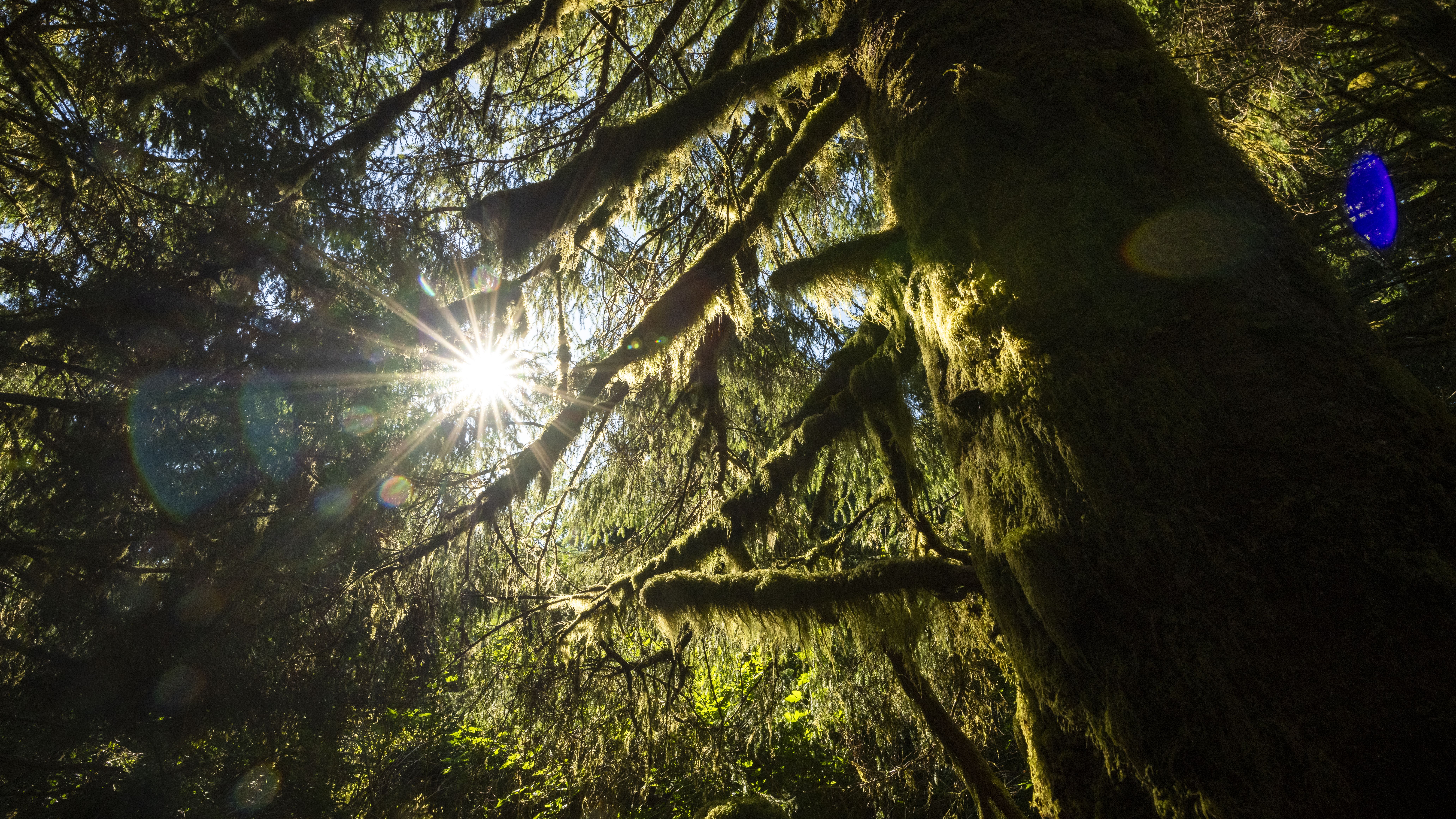8256x4644 Pair Your Tofino Escape With Vancouver Island's Lesser Known Wild Side. Vancouver Island. Maple Leaf Adventures