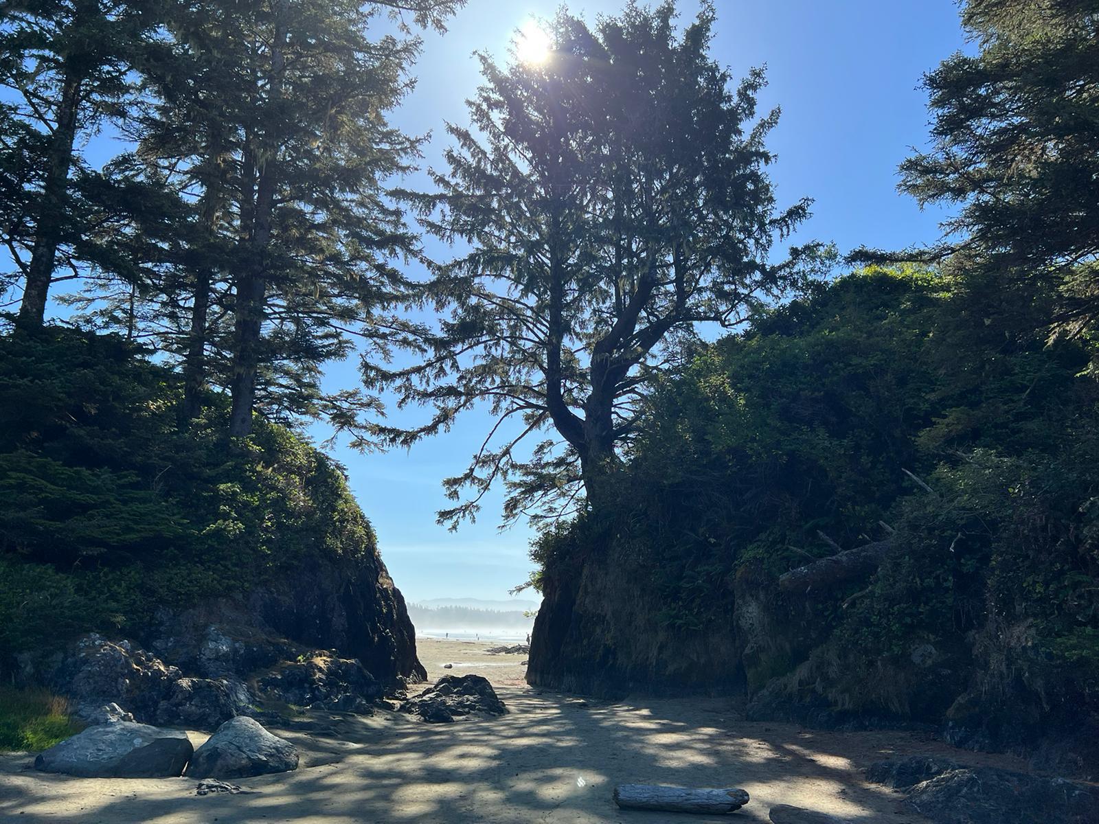 1600x1200 Is Tofino the best place in planet earth !