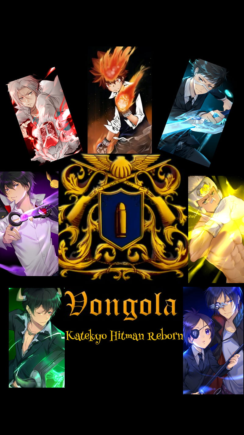 800x1422 Hitman reborn, katekyo hitman reborn, vongola family, HD phone wallpaper