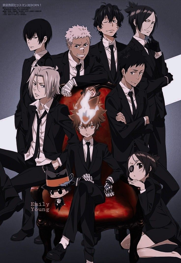 736x1071 Katekyo Hitman Reborn