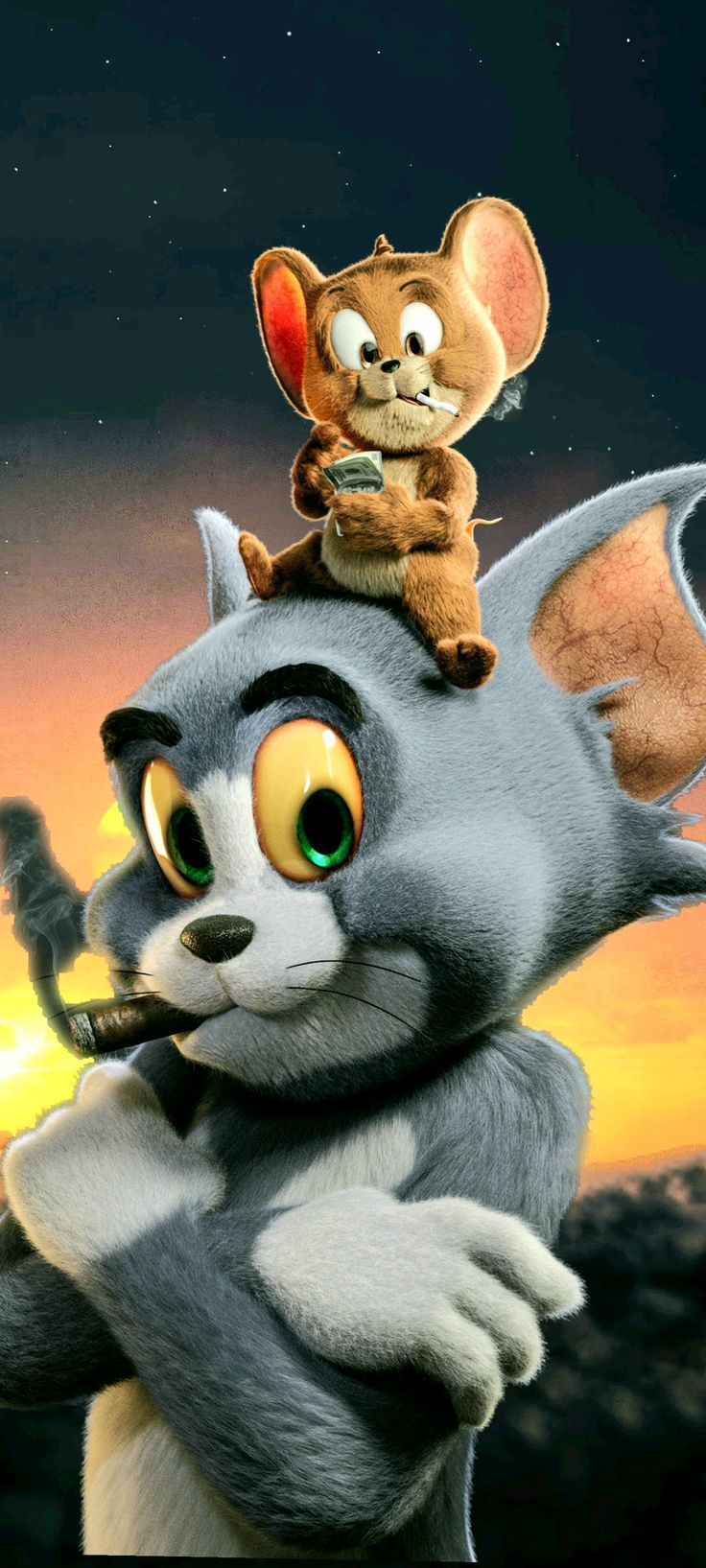736x1635 Tom And Jerry 4k Mobile Wallpaper