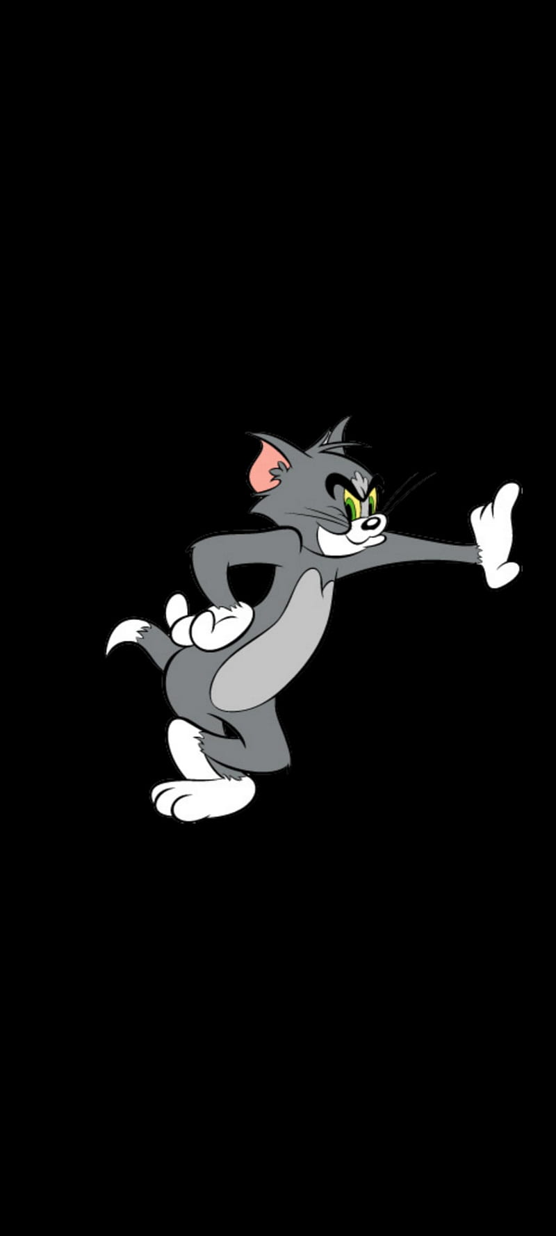 800x1778 2360x1640px, 1080P free download. TOM, jerry, HD phone wallpaper