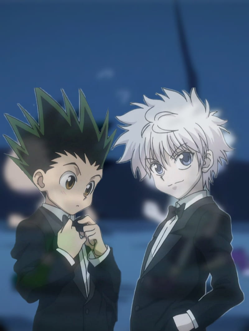 800x1065 Gon and killua, hunter, hunter x hunter, HD phone wallpaper
