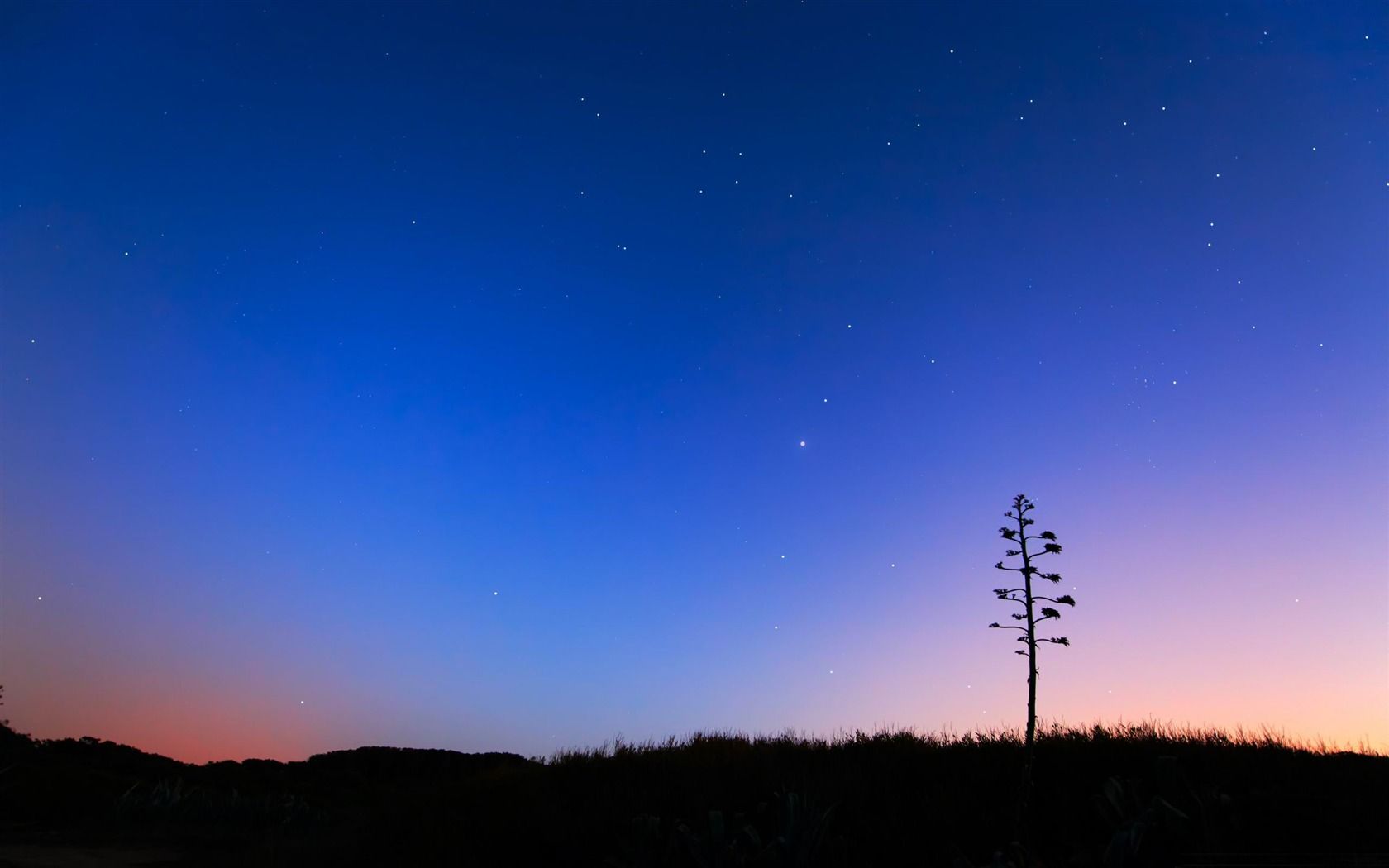1680x1050 Night Skies Night Sky HD Wallpaper
