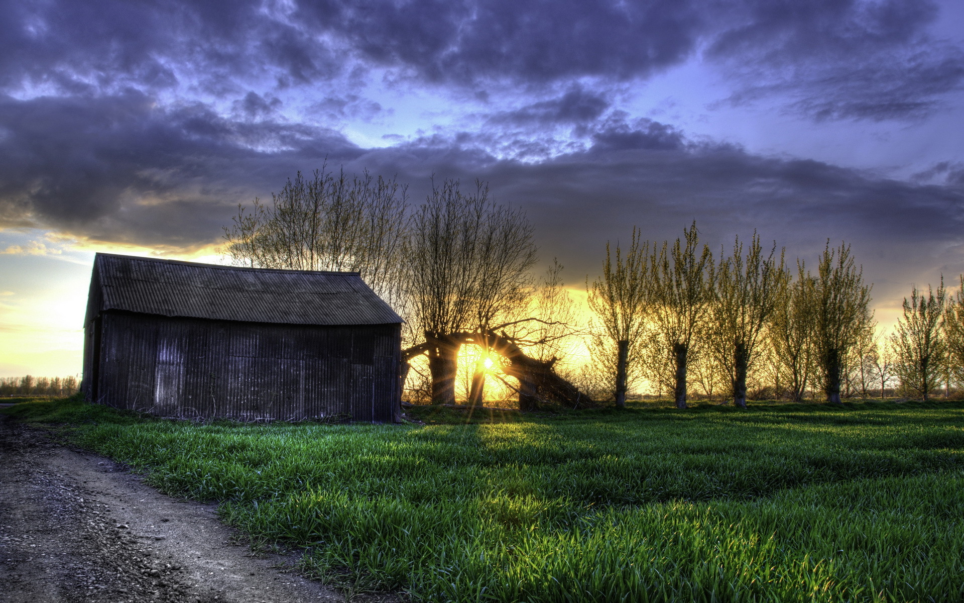 1920x1200 field, grass, night Wallpaper, HD Nature 4K Wallpaper, Image and Background