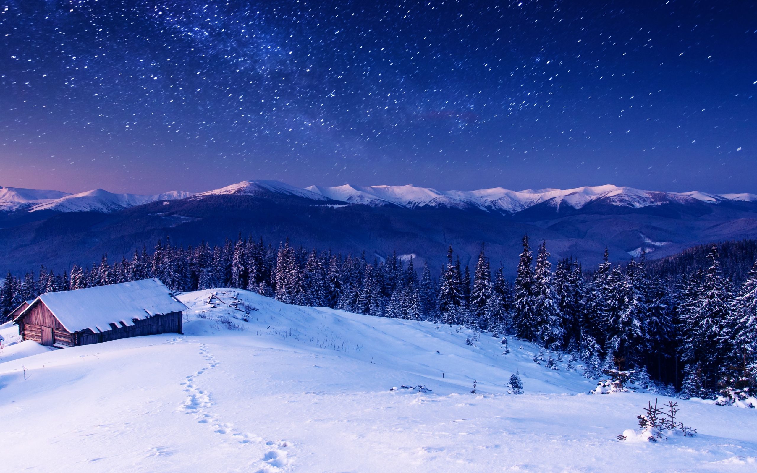 2560x1600 Starry Winter Night Over Snowy Mountain Cabin