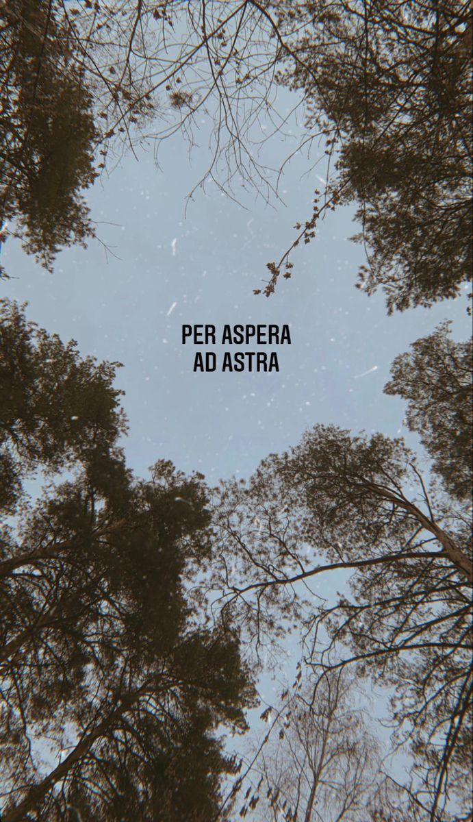 691x1200 Per aspera ad astra
