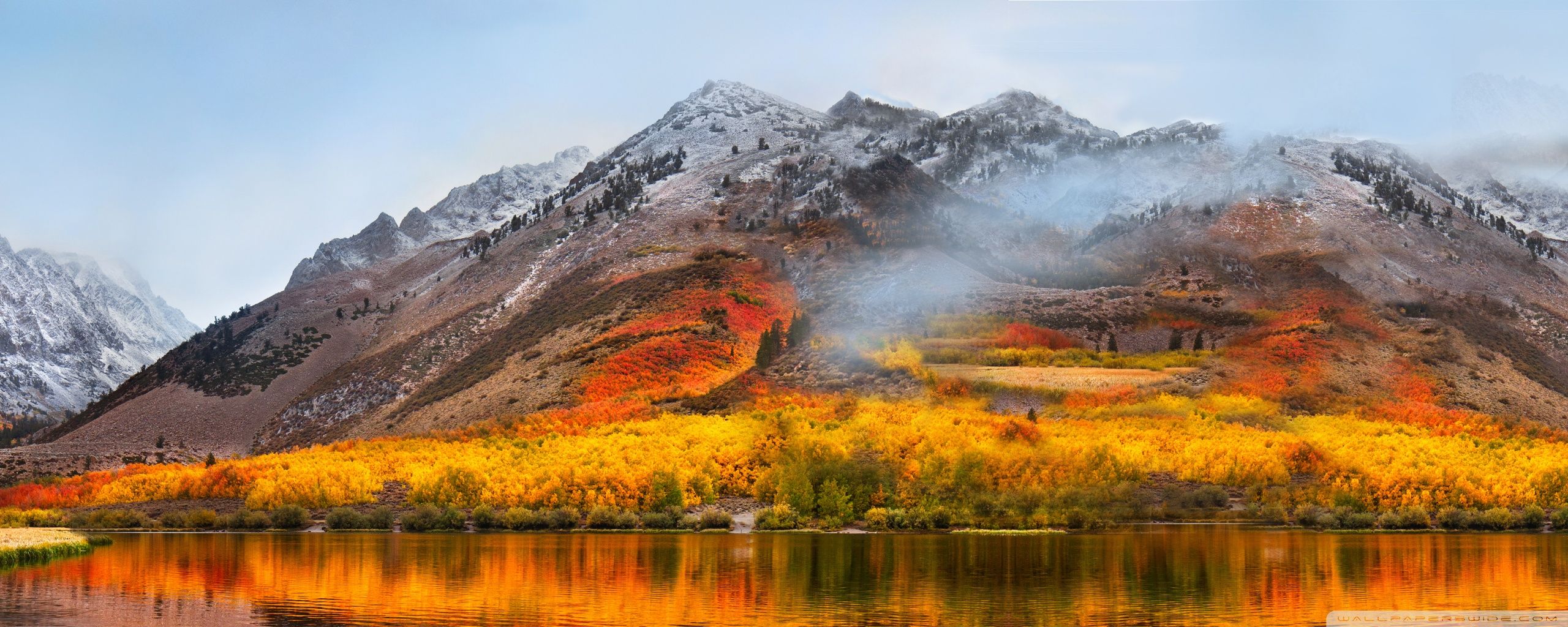 2560x1024 OSX High Sierra 4K UHD Wallpaper for UltraHD Desktop and TV : Widescreen and UltraWide Display : Dual Monitor : Smartphone and Tablet Devices