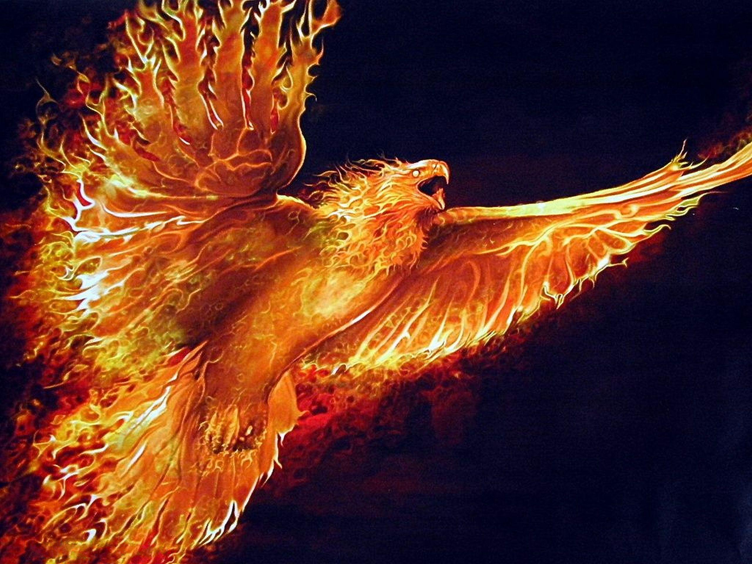 2560x1920 Phoenix Bird Wallpaper Free Download