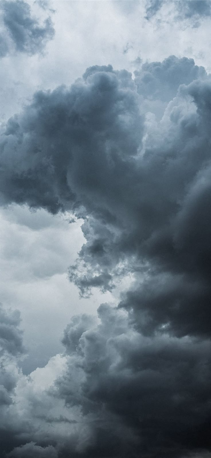 736x1594 cumulus clouds iPhone X Wallpaper