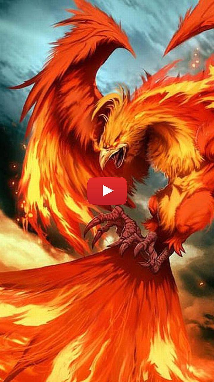 720x1282 phoenix drawing wallpaper. phoenix wallpaper mythical creatures. phoenix wallpaper fire. Phoenix wallpaper, Live wallpaper, Phoenix drawing