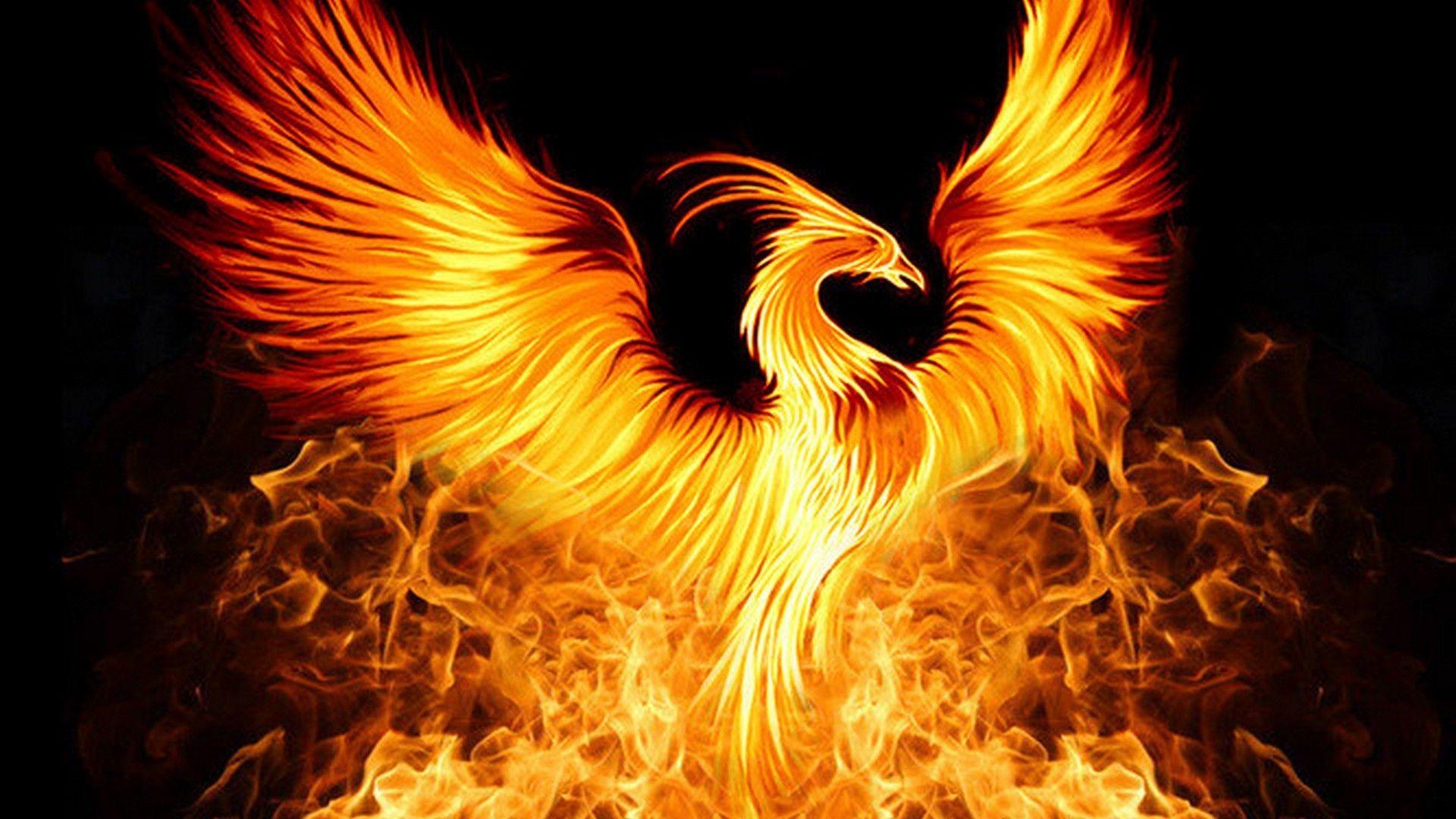 1920x1080 Phoenix Bird Wallpaper background picture