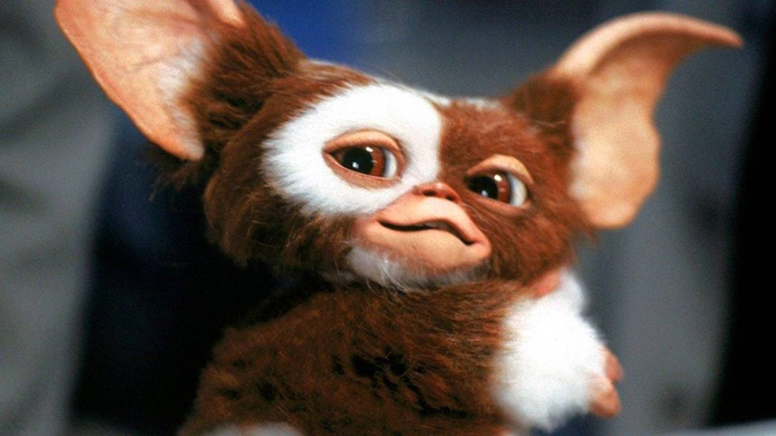 1600x900 Gremlins 3 announced for 2027 theatrical release