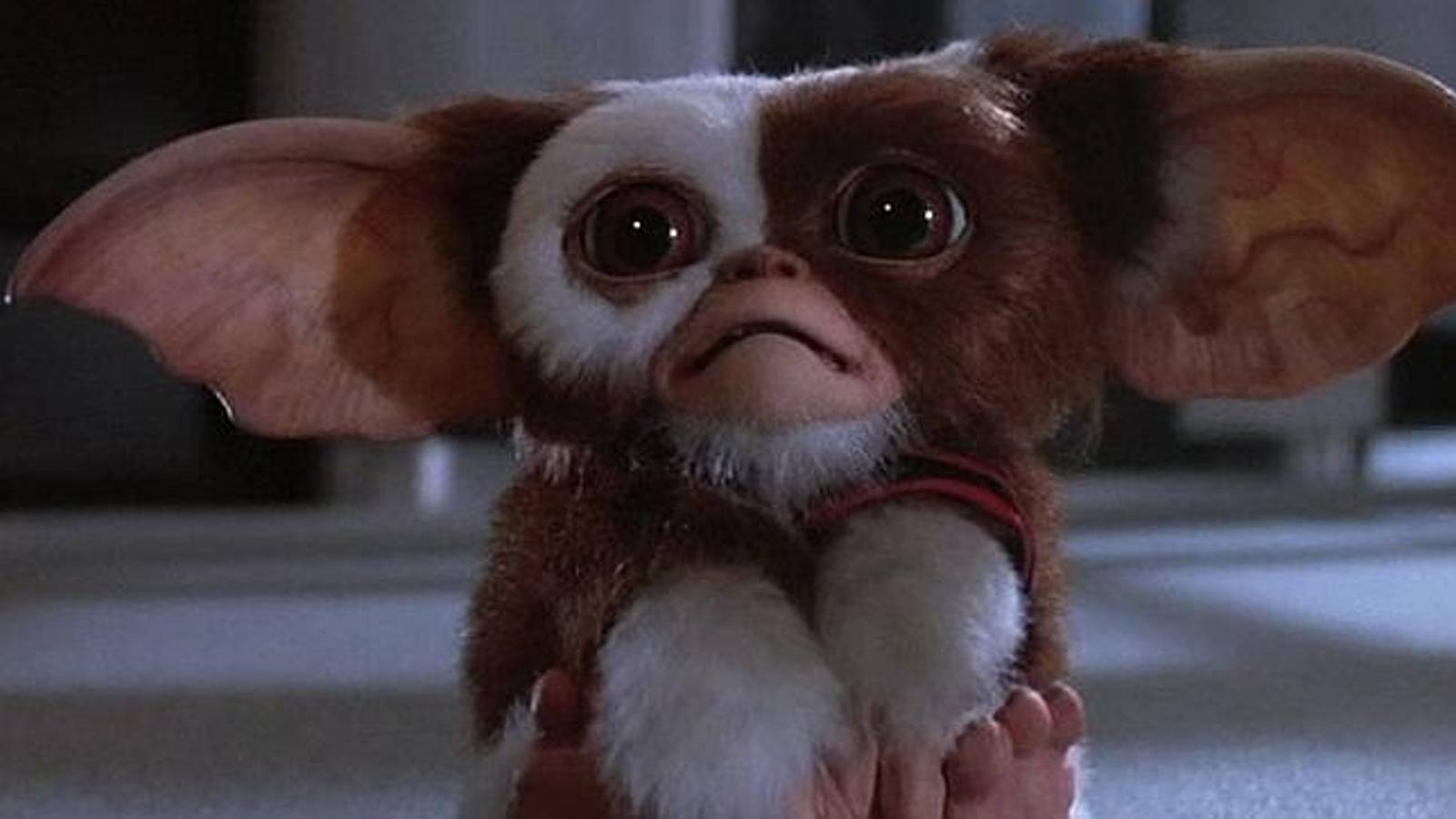 1600x900 Gremlins 3 Update: Chris Columbus Says Creatures Won't Be CGI
