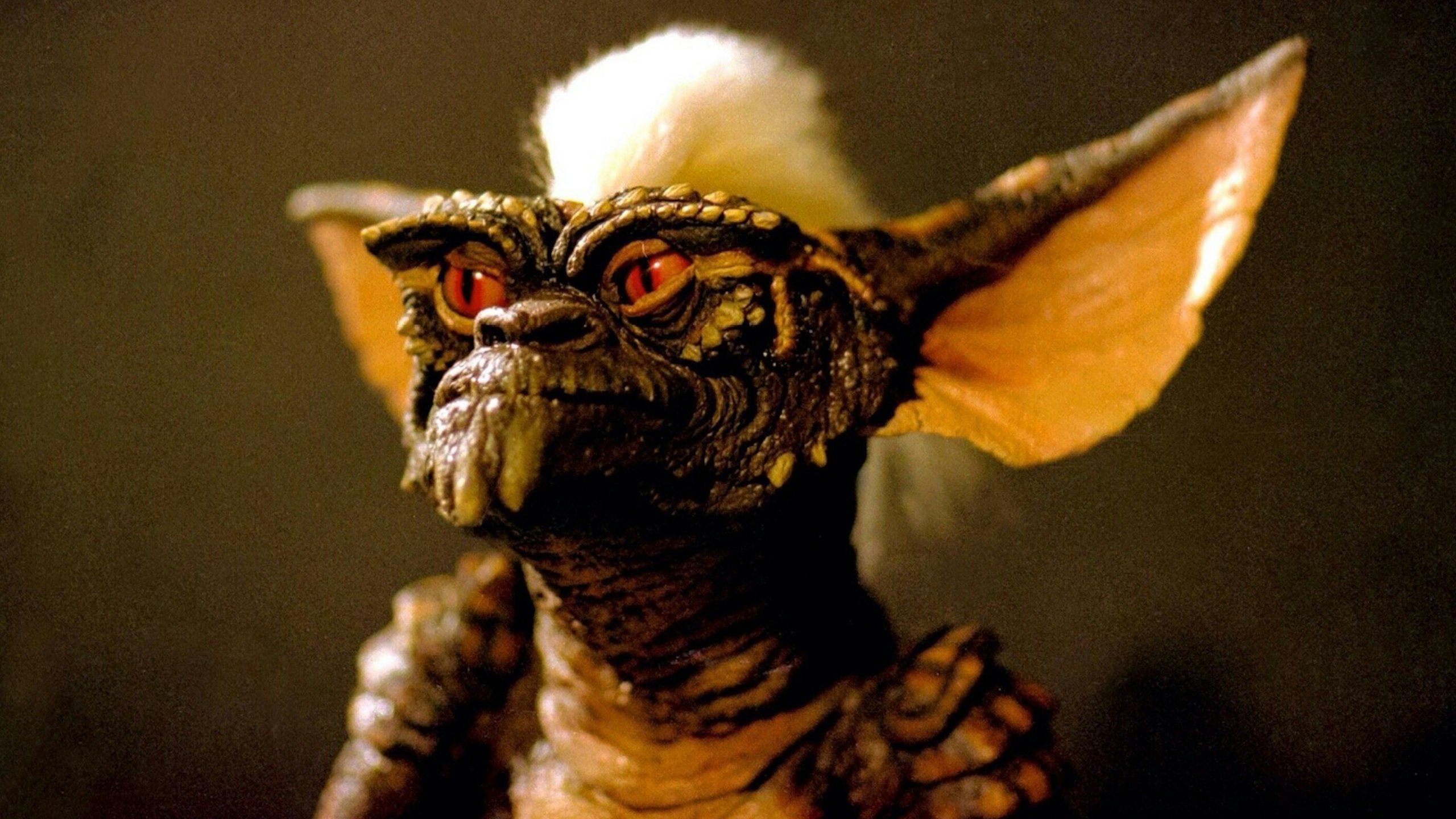 2560x1440 Gremlins 3 Confirmed With Chris Columbus And Steven Spielberg