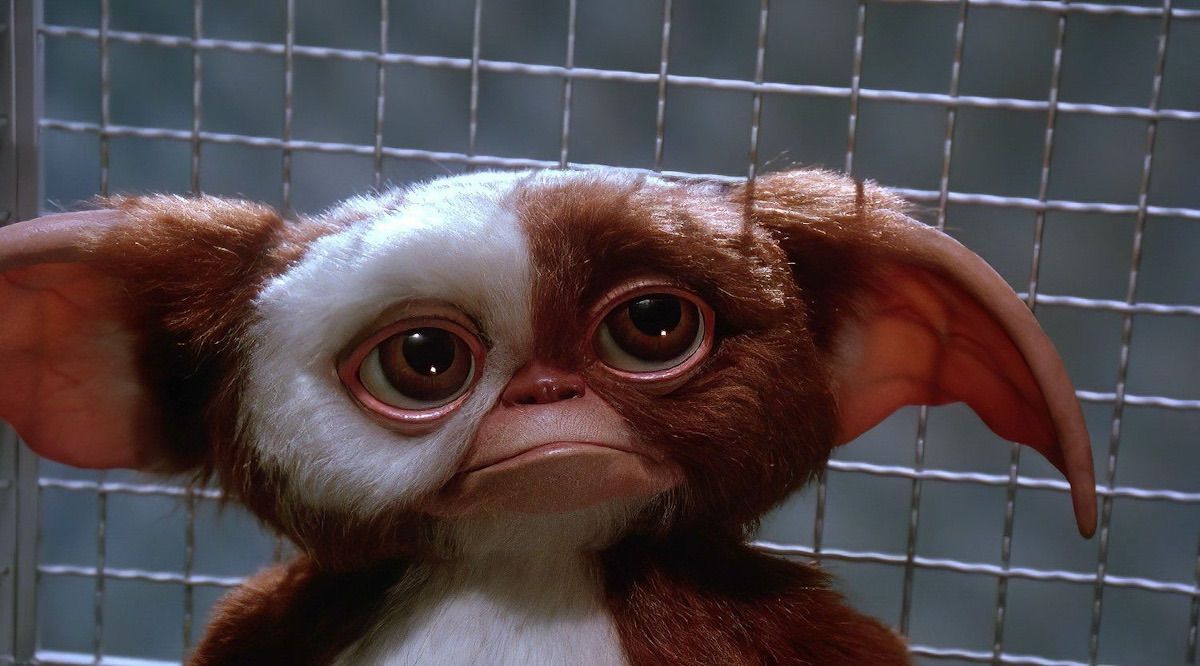 1200x666 Gremlins 3: Everything You Need To Know