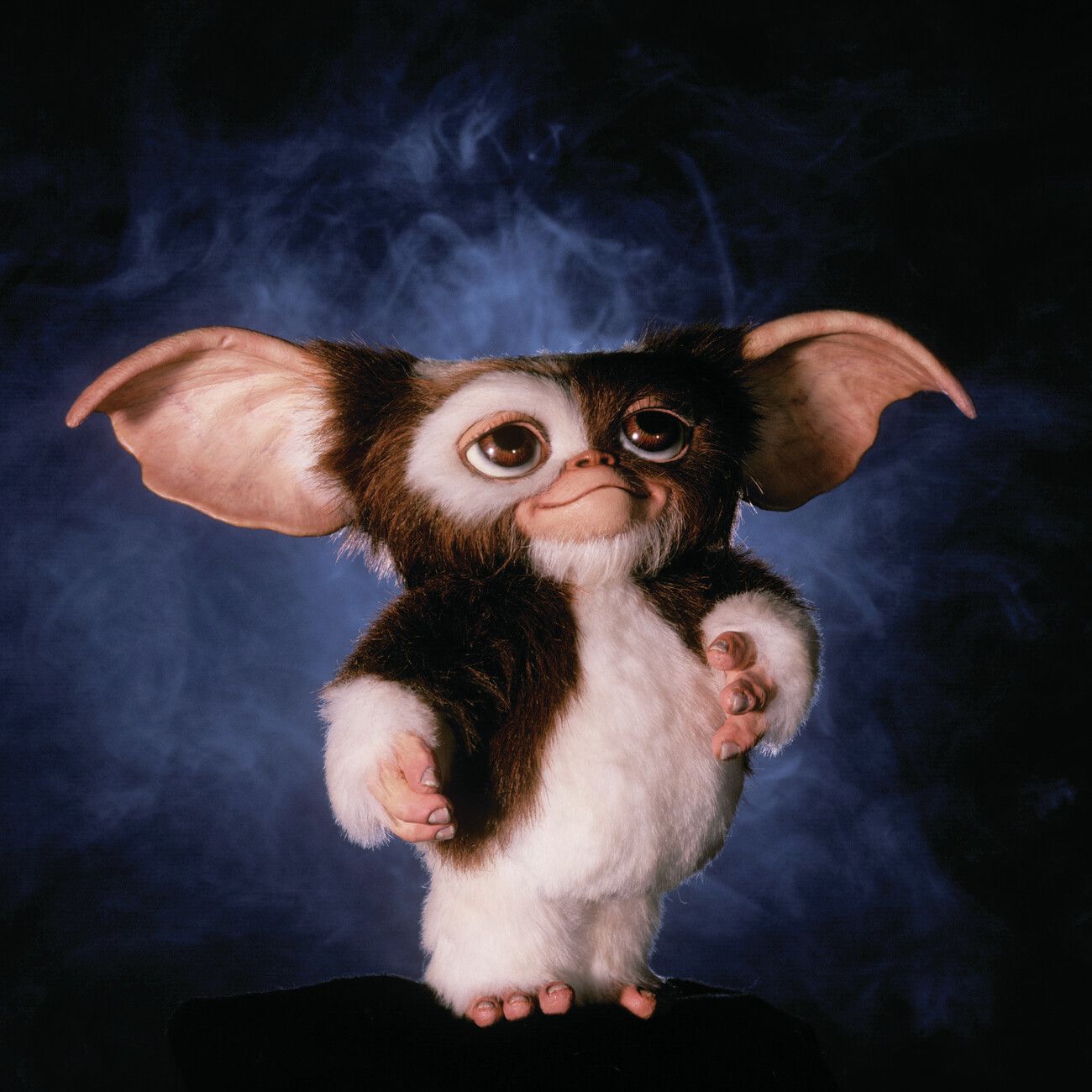 1300x1300 Poster Gremlins. Wall Art 1 FREE