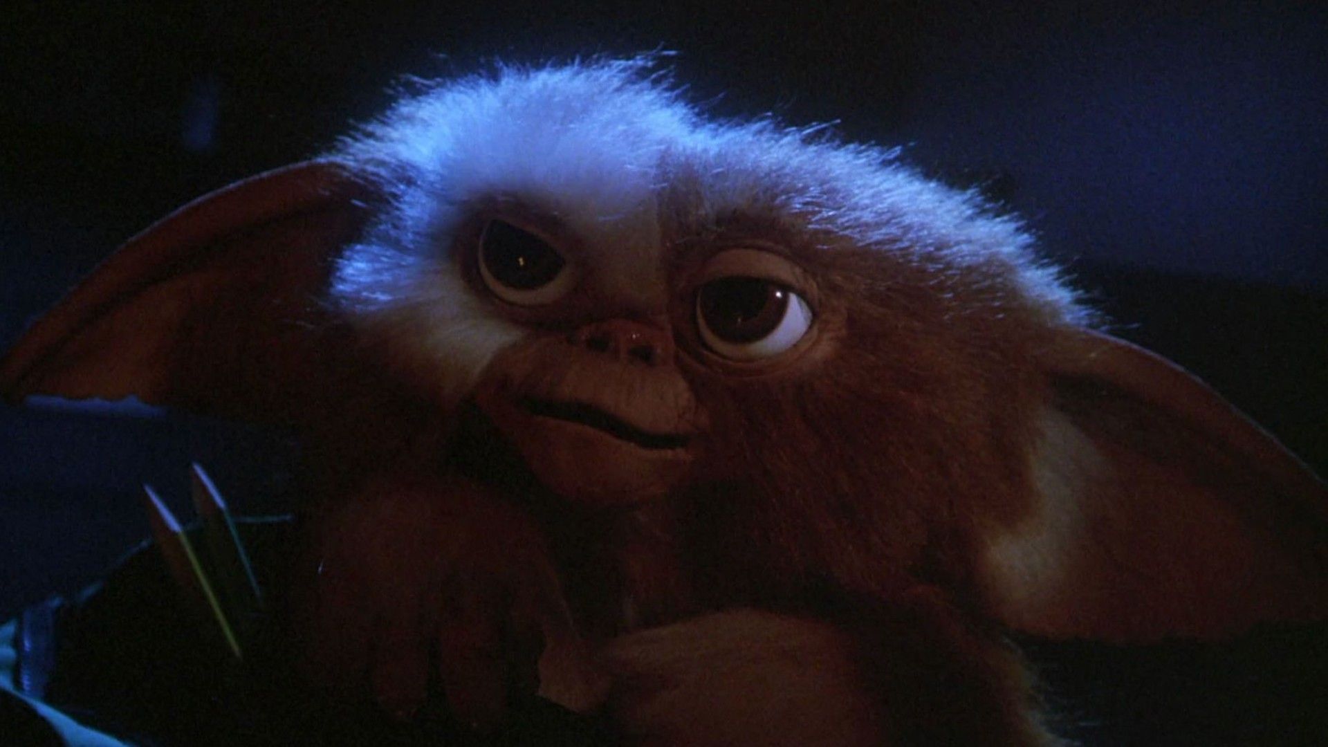 1920x1080 years after the last movie, Gremlins 3 is officially happening with Chris Columbus and Steven Spielberg on board