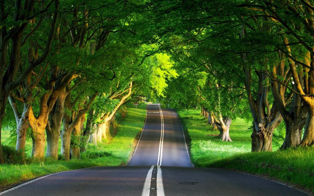 1024x640 Free High Quality Nature Wallpaper