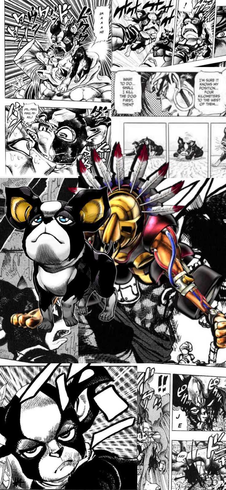 736x1594 Iggy Wallpaper