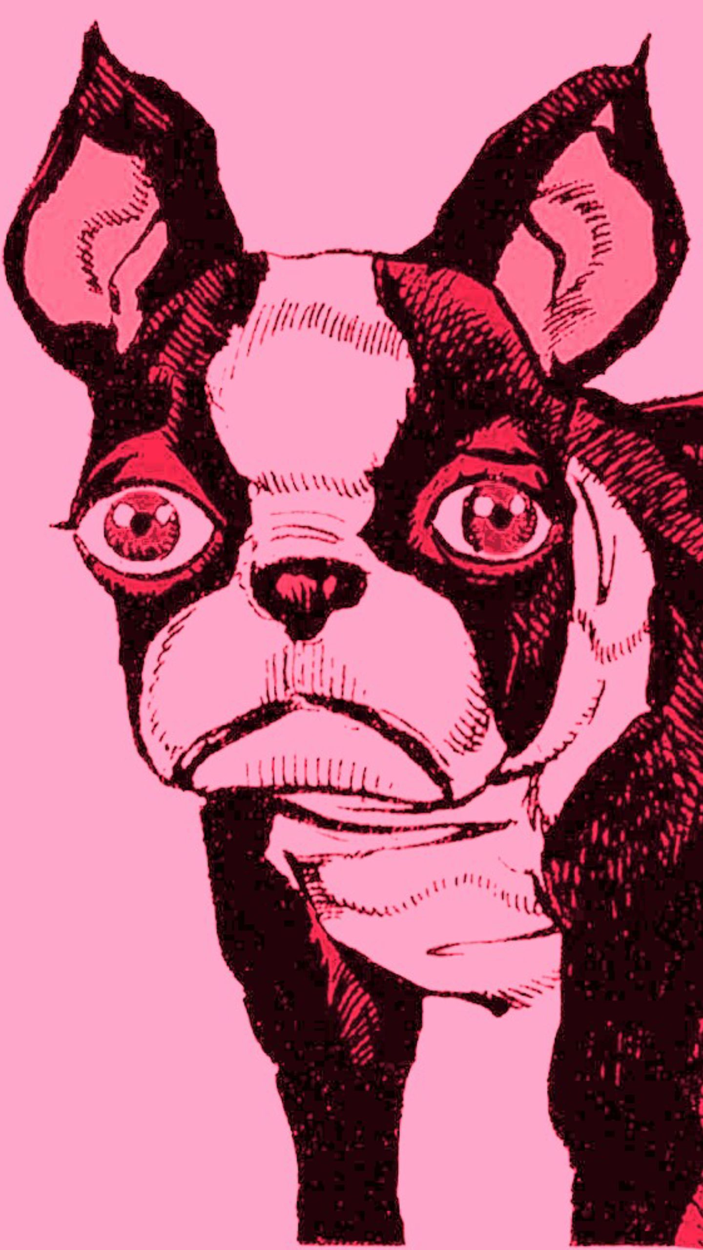 1440x2560 Iggy Jojo Wallpaper