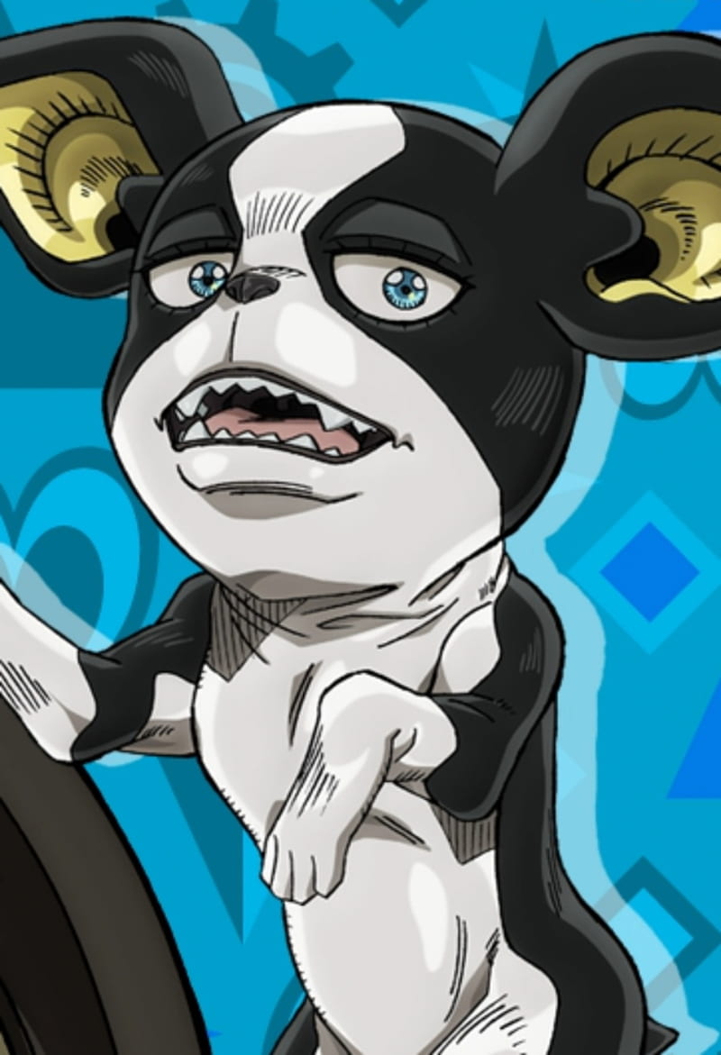 800x1171 Iggy, jjba, jojo bizarre adventure, stardust crusaders, stand, sand, the fool, HD phone wallpaper
