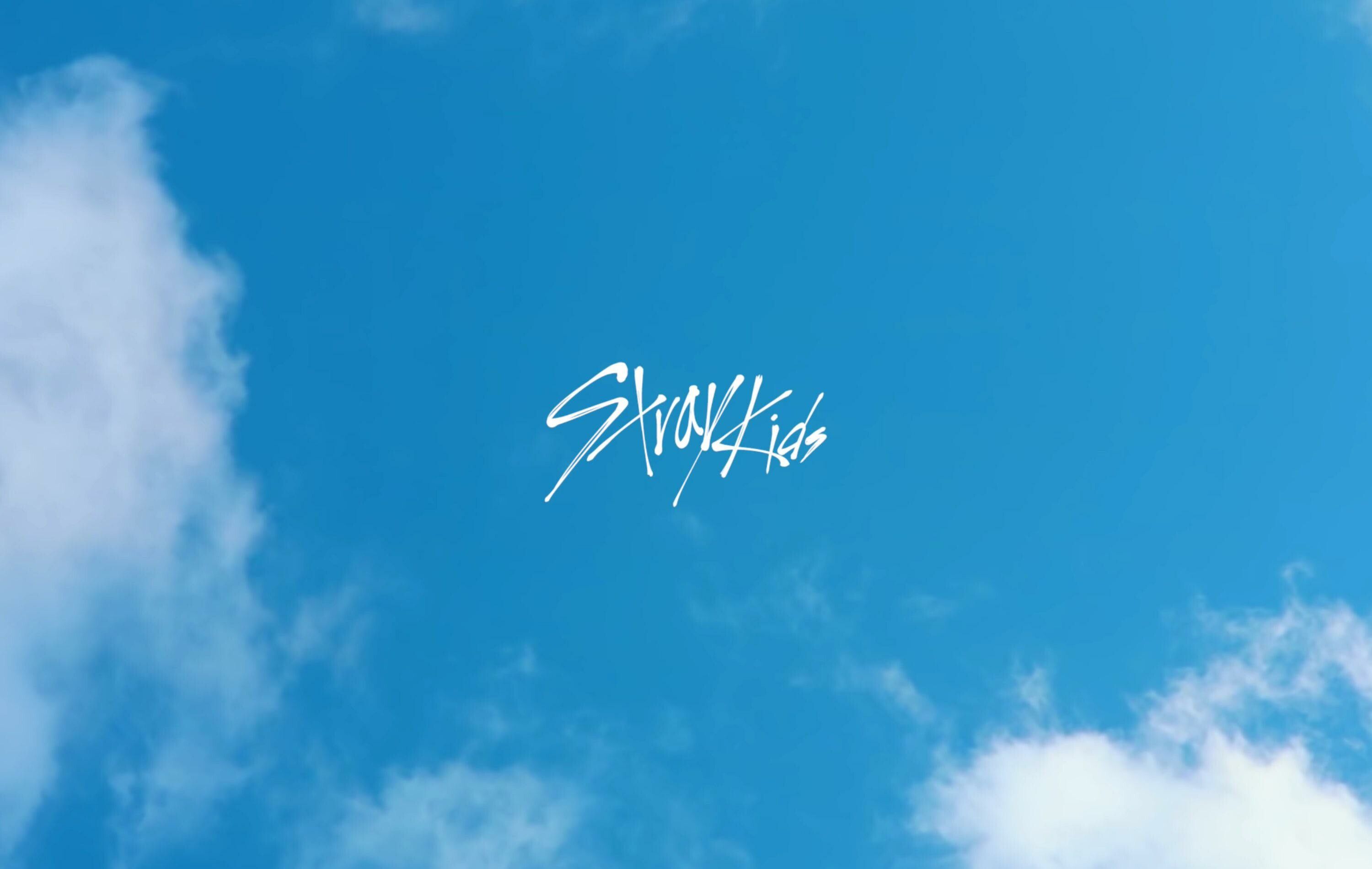 3000x1900 Stray Kids Wallpaper