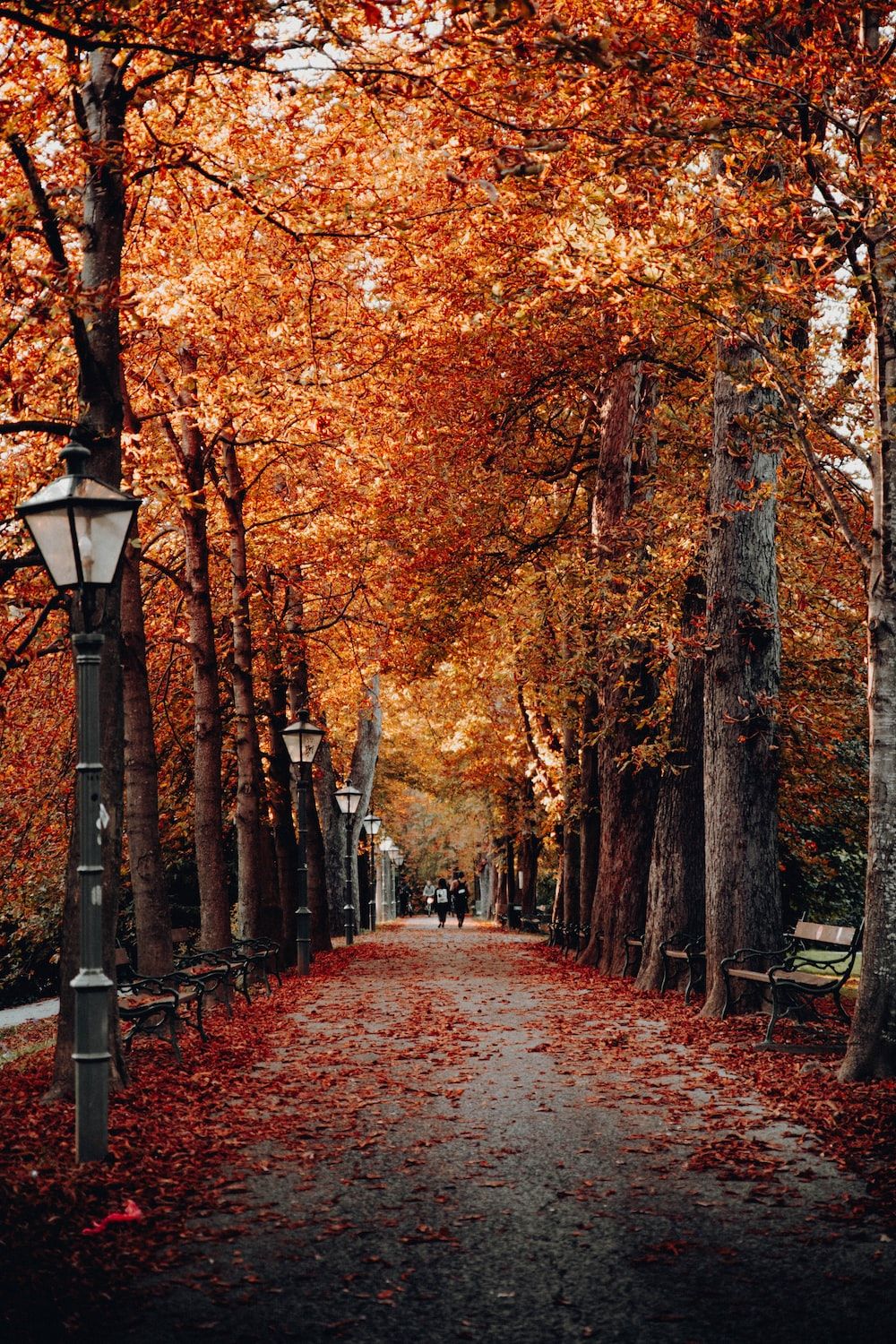 1000x1500 Orange Fall Wallpaper