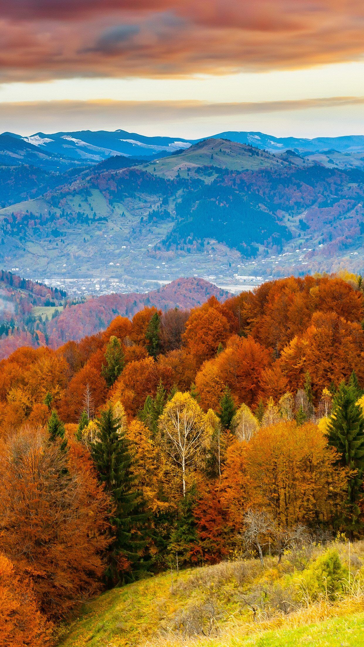 1242x2208 Fall Mountain Fun Red Orange Tree Nature iPhone 7 Wallpaper
