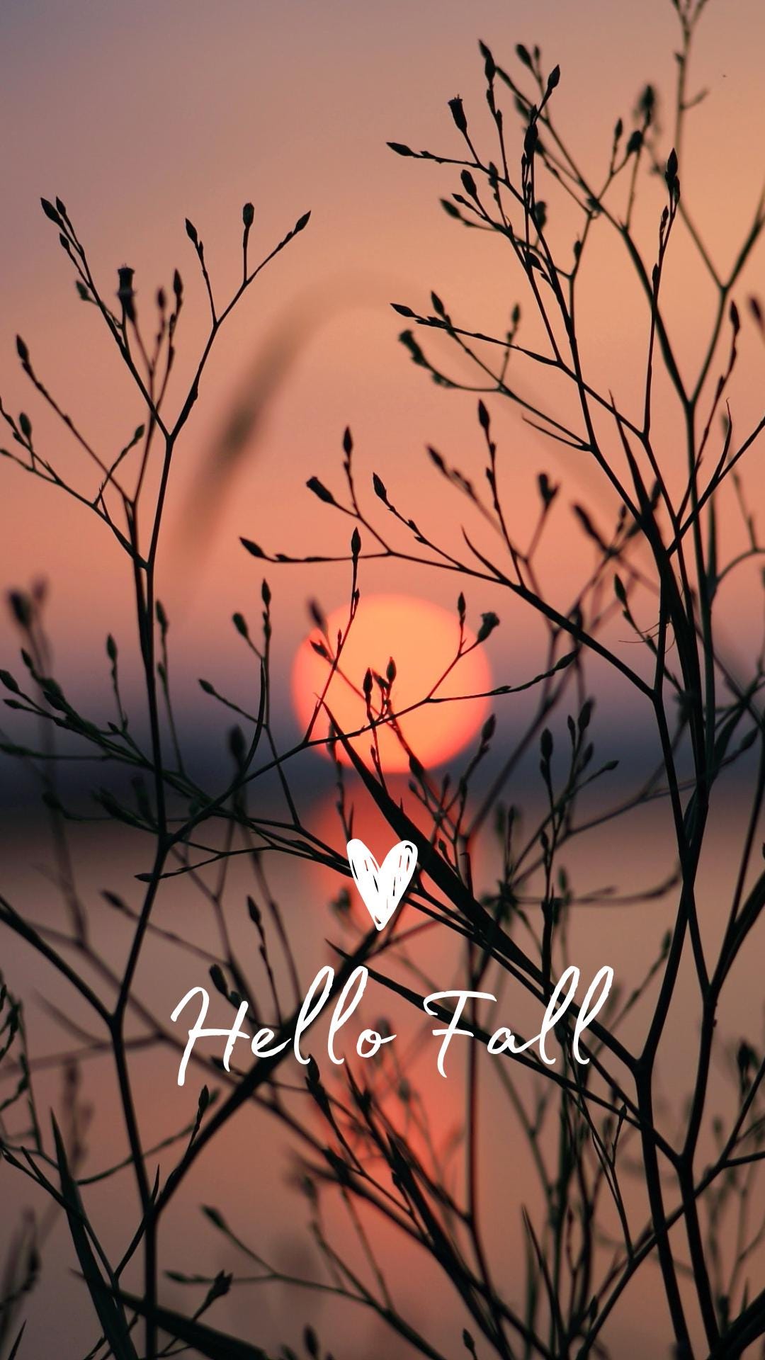 1080x1920 Hello Fall Phone Wallpaper, 5 Pack, Autumn Nature (digital Download)