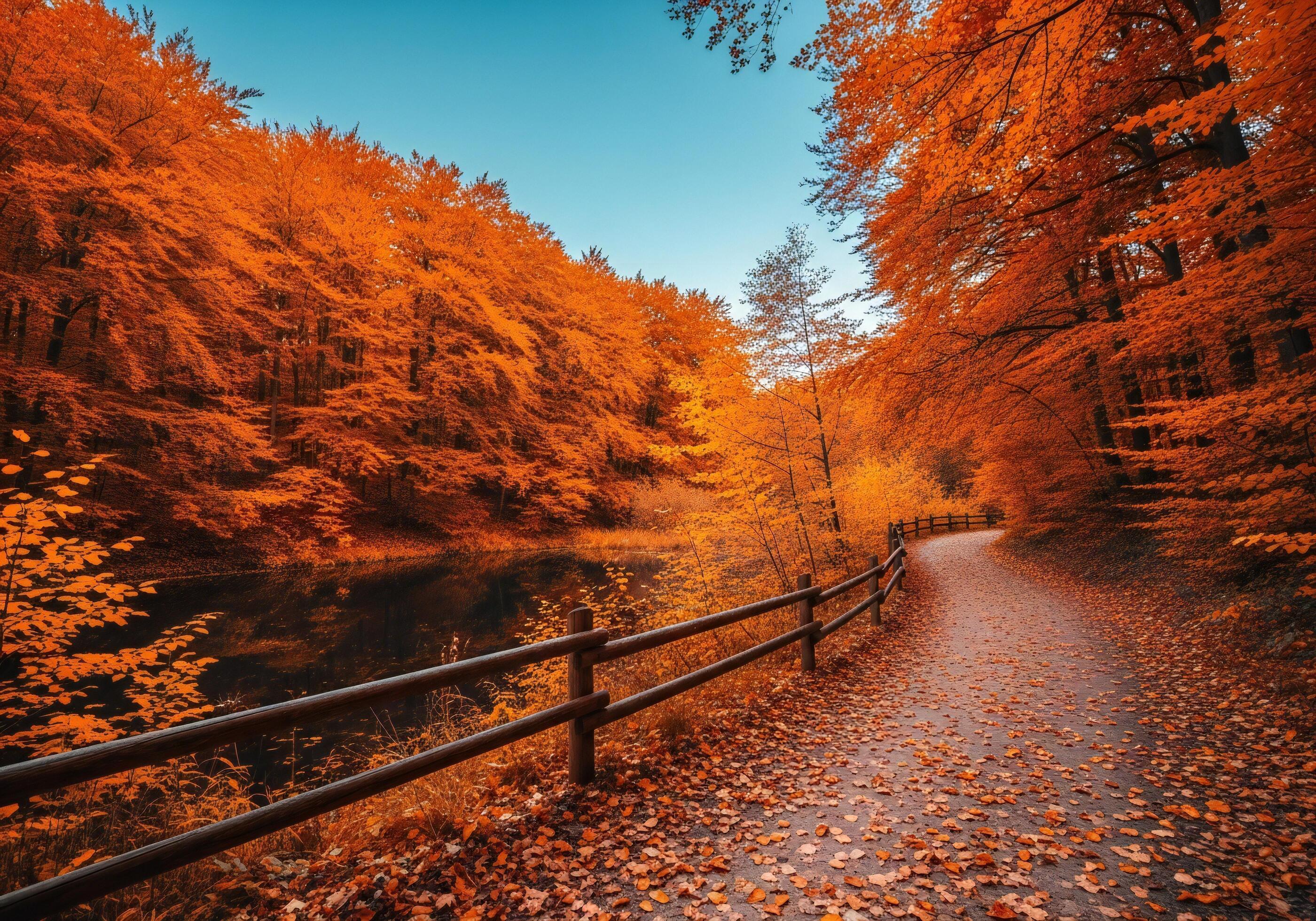 2800x1960 Nature background, Nature wallpaper, A winding path lined with bright orange autumn trees beside a dark lake blanketed with fallen leaves