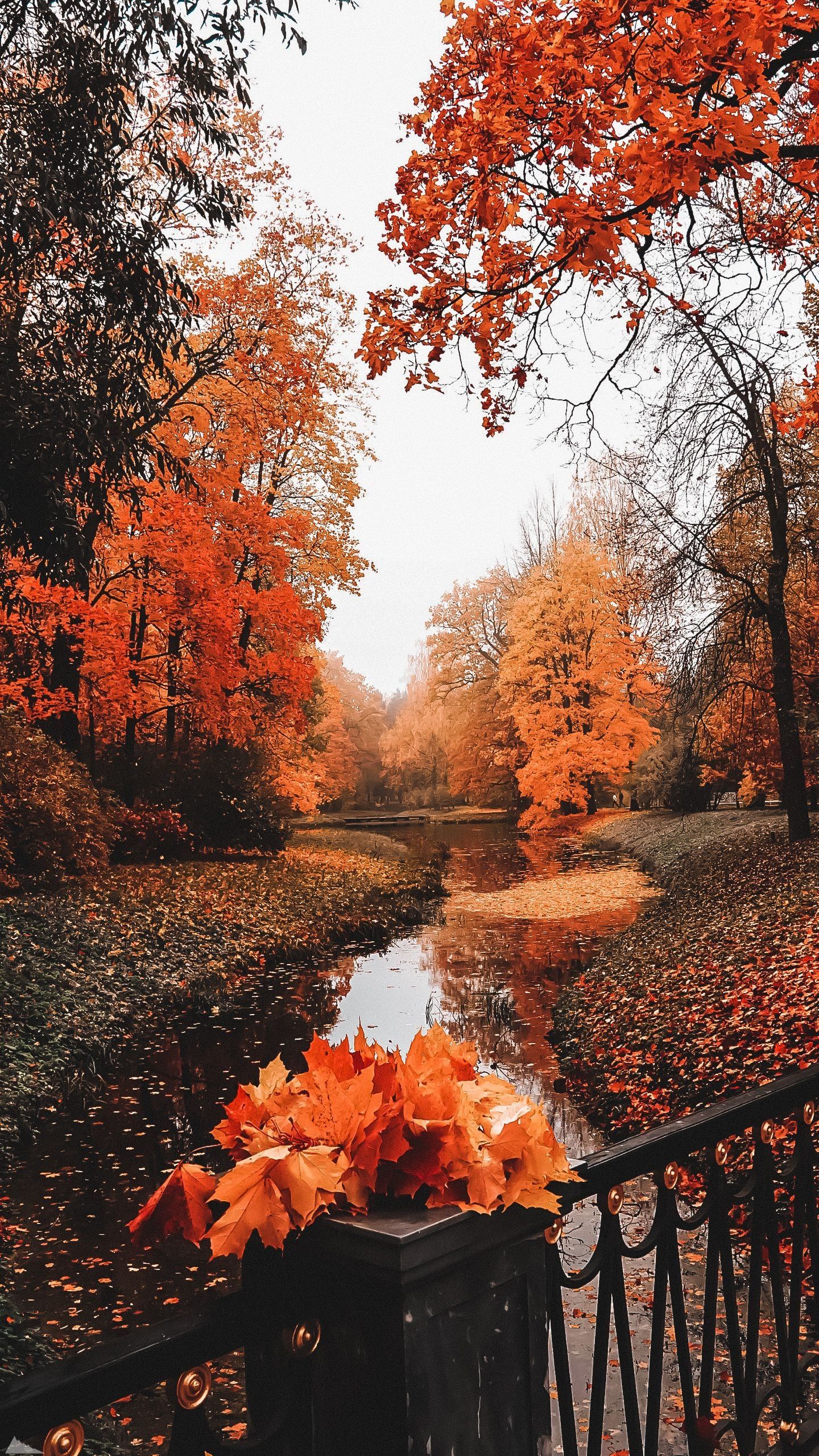 1440x2560 
