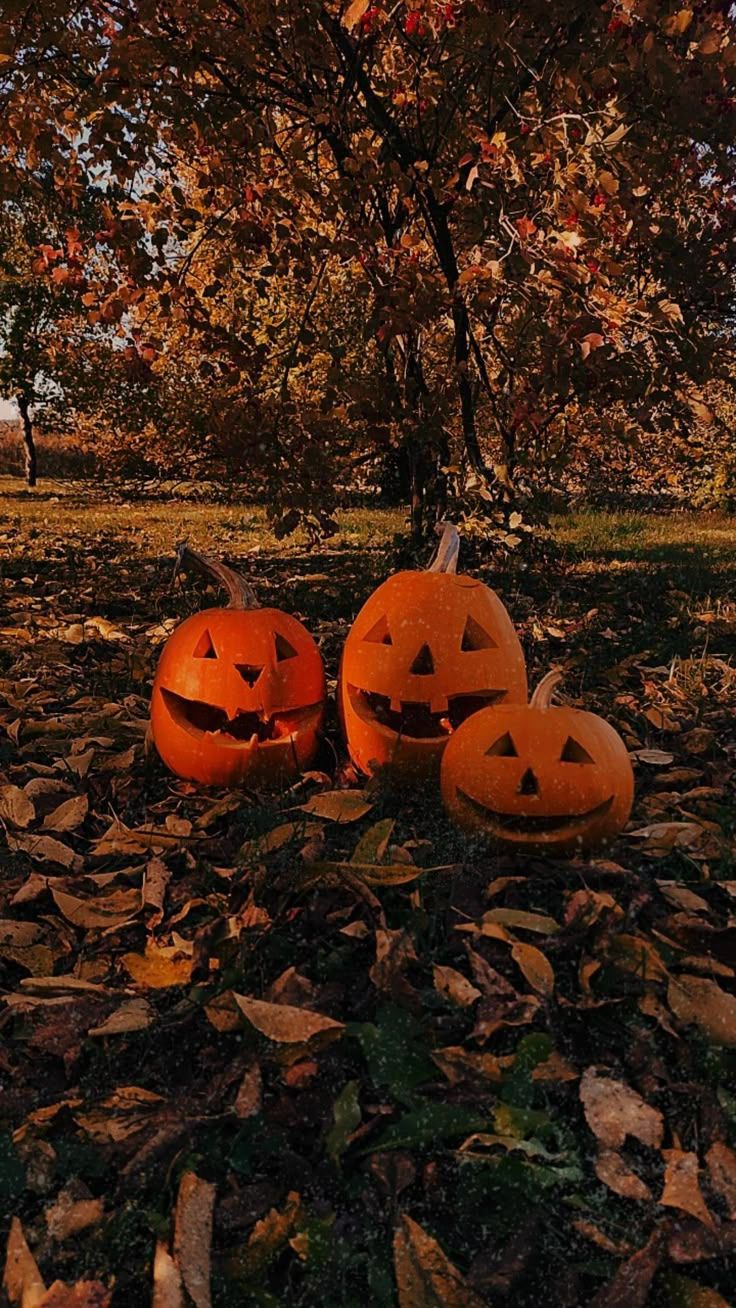 736x1308 Aesthetic Fall Halloween IOS 16 Home Screen and Lock Screen Ideas. Tekening architectuur, Halloween achtergronden