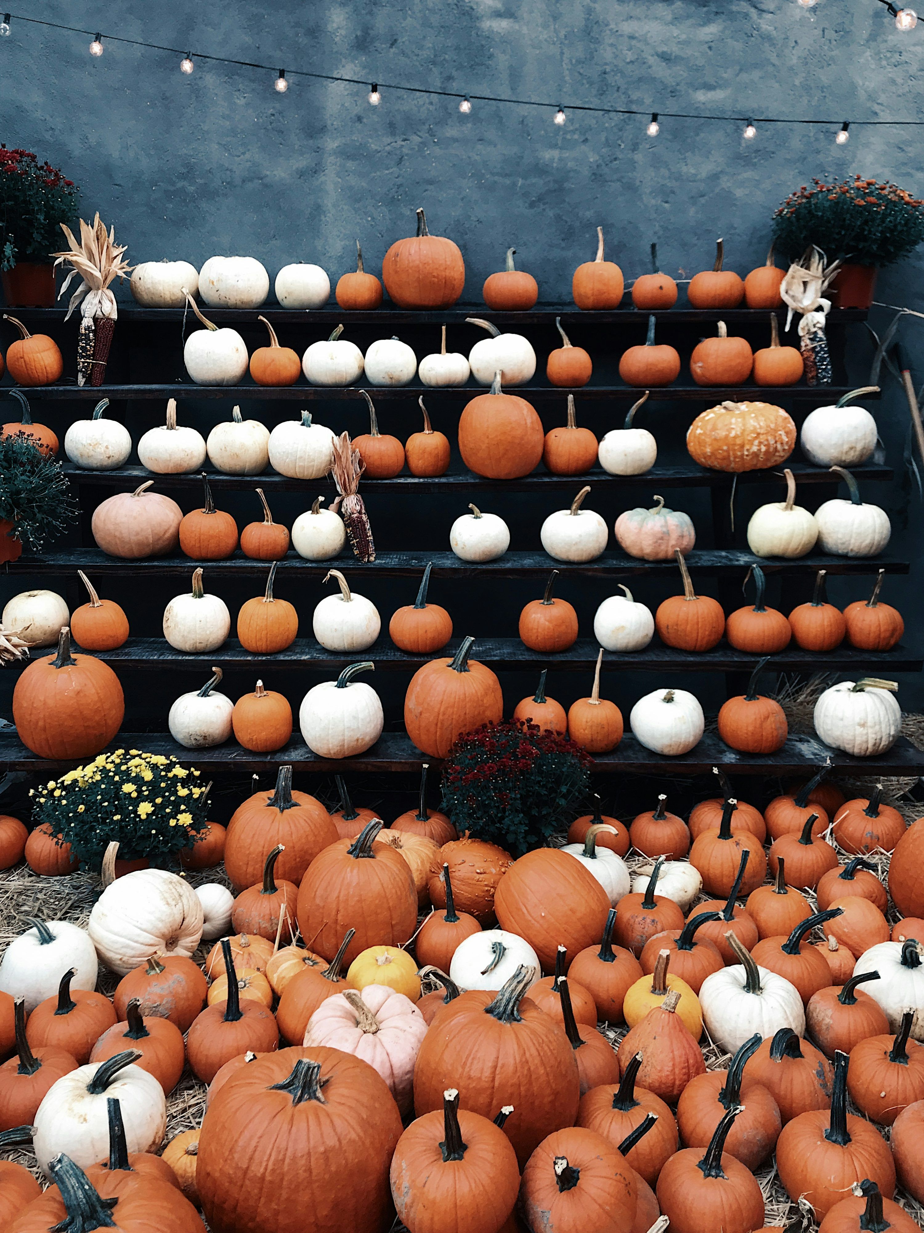 3000x4000 Happy Halloween Picture. Download Free Image