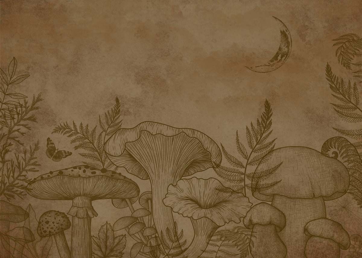 1200x857 Silken Serenity, Vintage Nature Sketch Wallpaper Mural