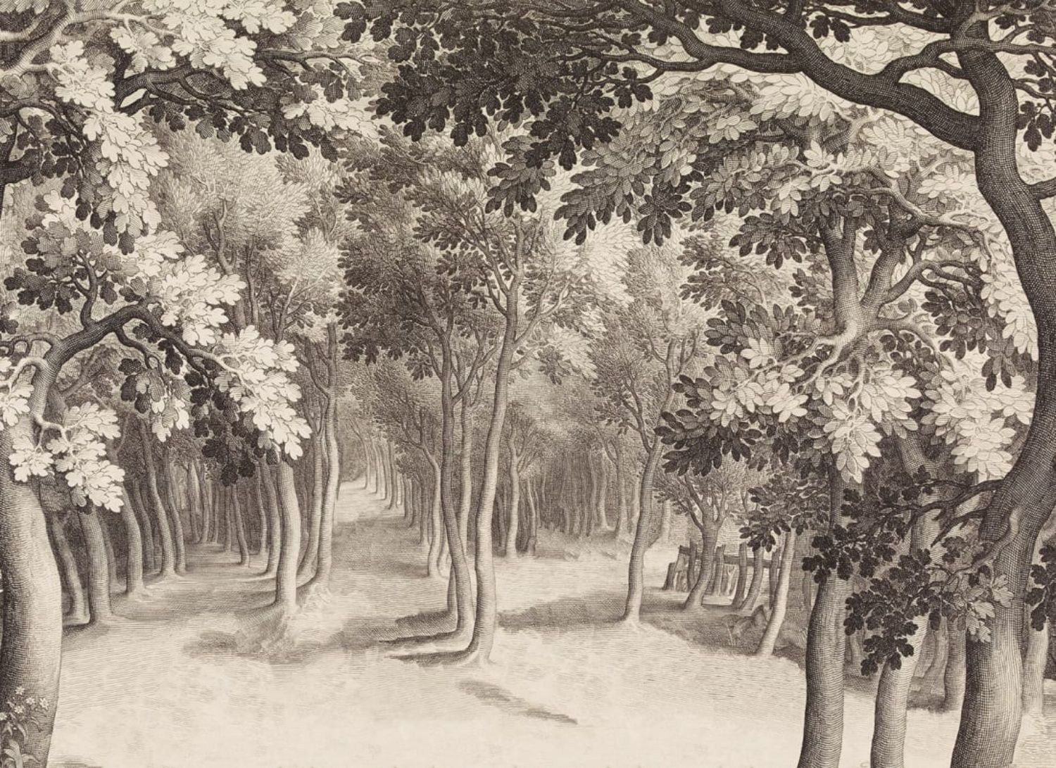 1500x1091 Forest Engraving, Nature Mural Wallpaper