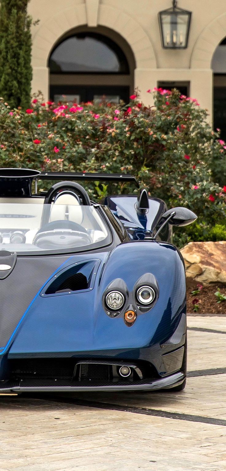 736x1535 Zonda HP Barchetta