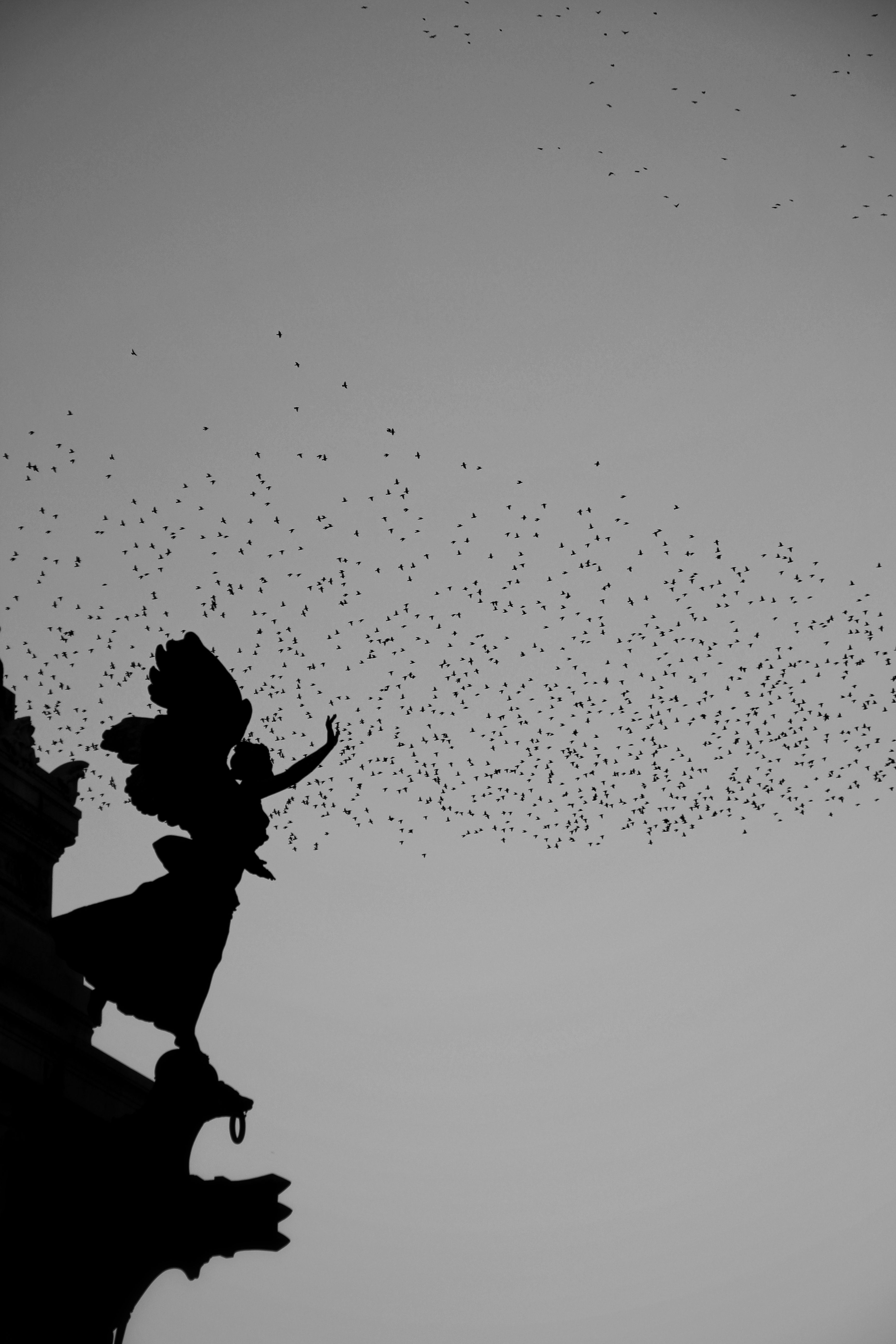 3456x5184 Flock of Birds Behind Sculpture · Free