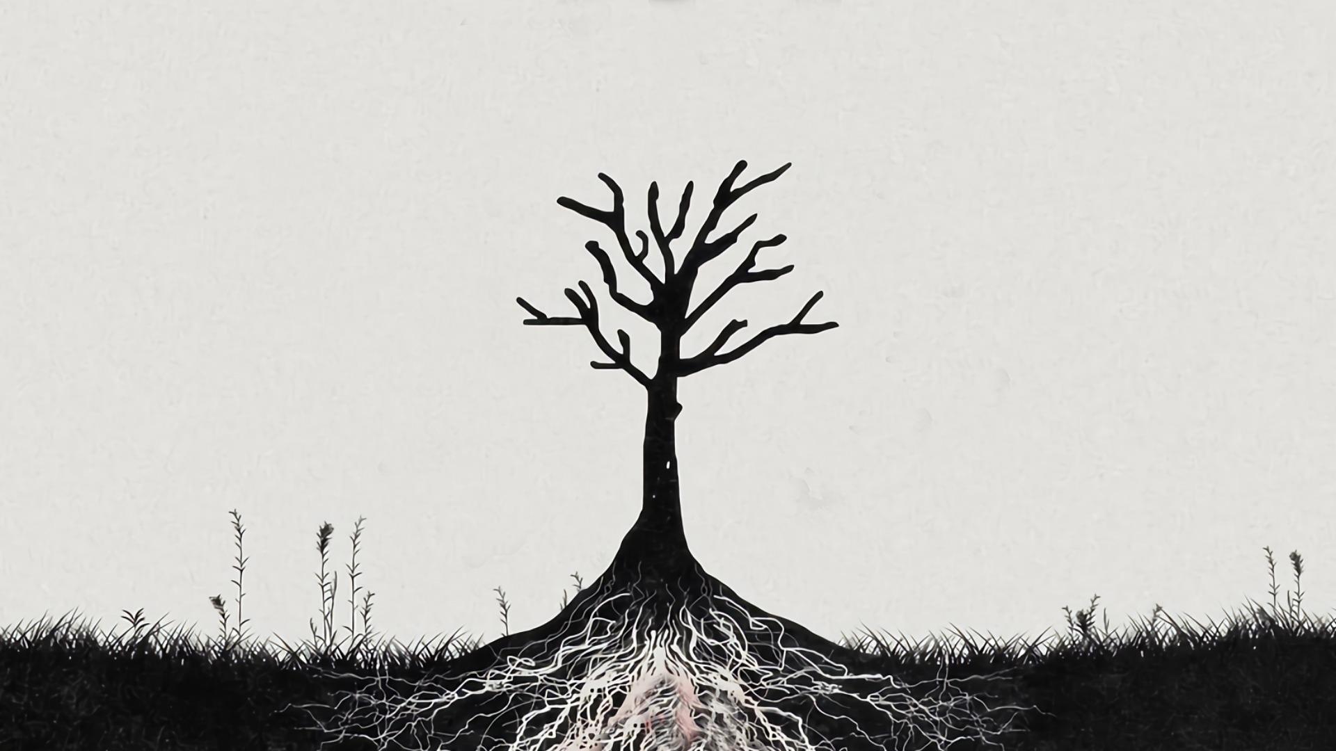 1920x1080 The Tree *Desktop Background* HIGH RESOLUTION