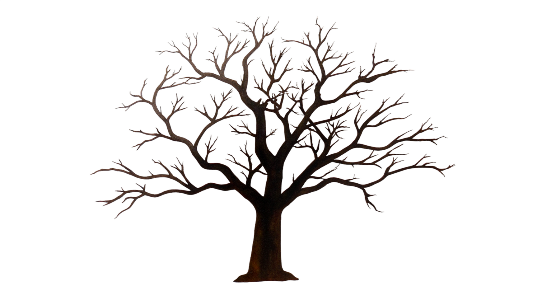 1742x980 Transparent Background Tree Clipart 69734133 PNG