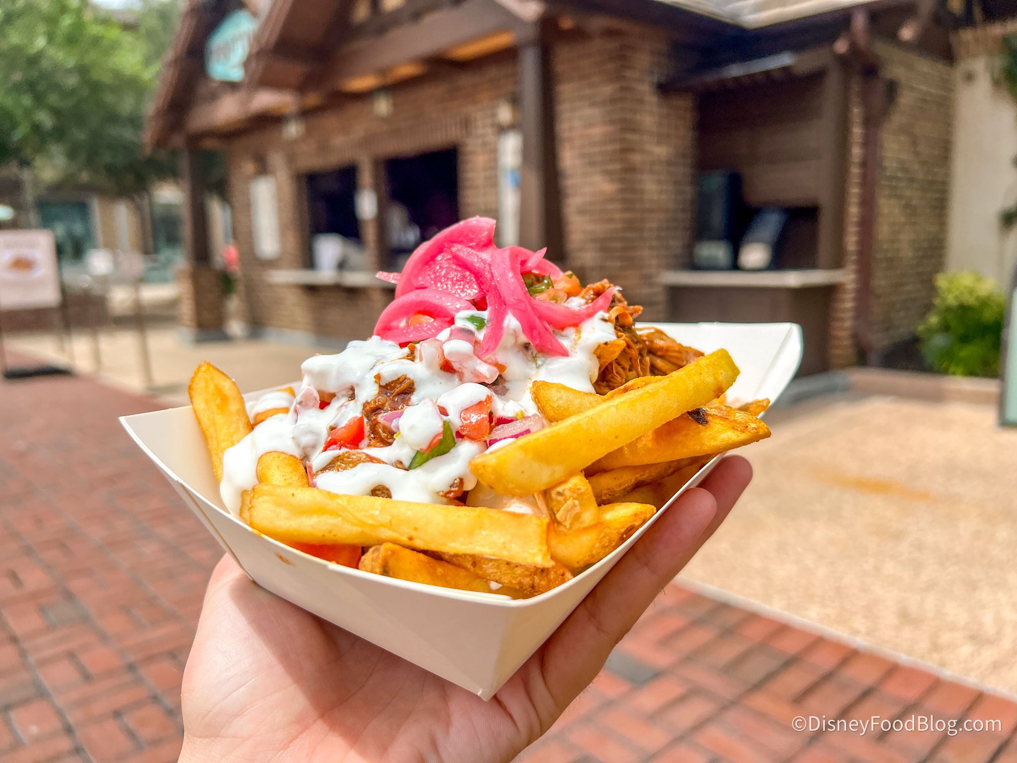 2048x1536 REVIEW: These $10 Loaded Fries at Disney World Changed My Life, and No I'm Not Dramatic. the disney food blog