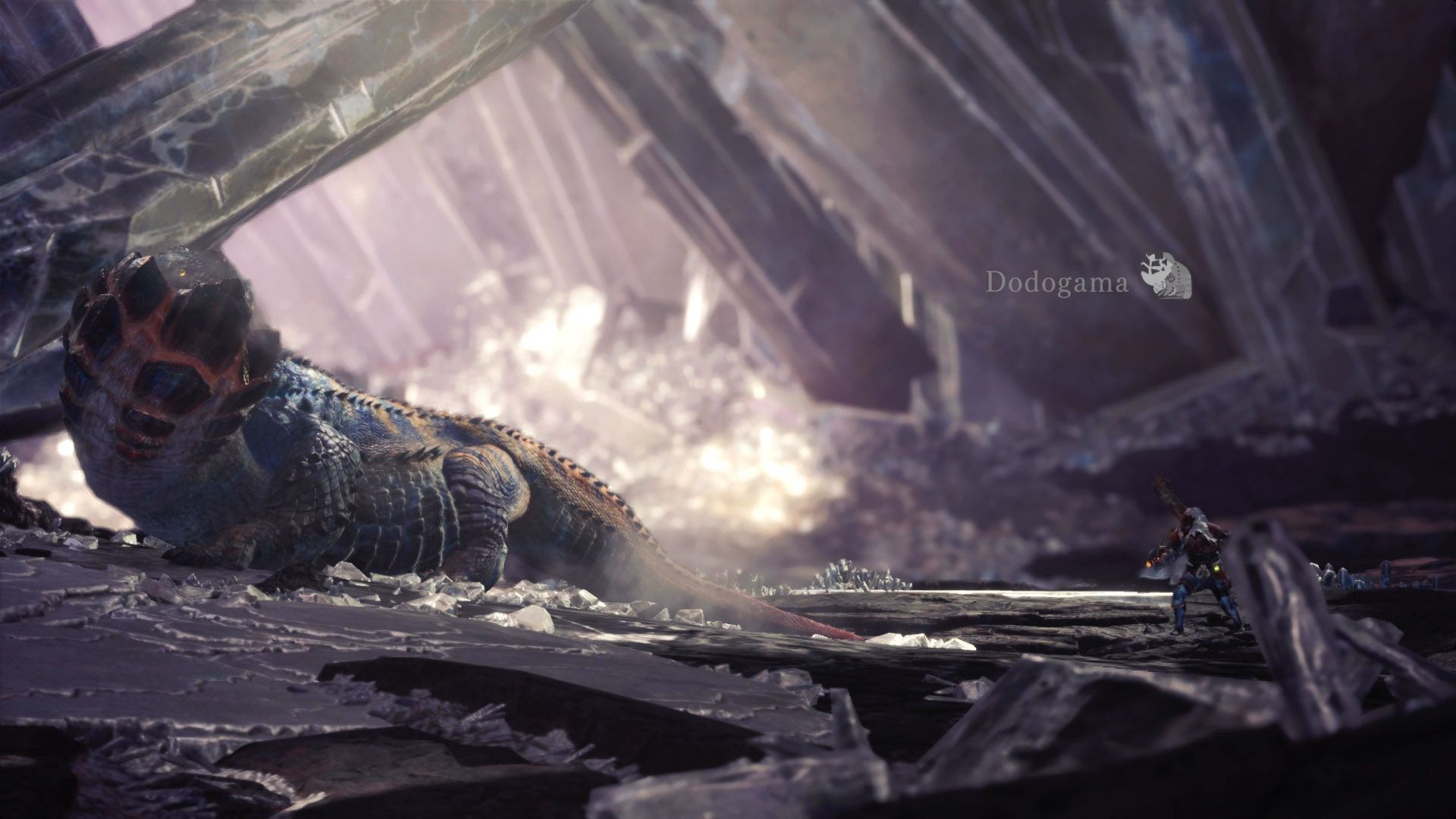 1920x1080 Monster Hunter World Dodogama