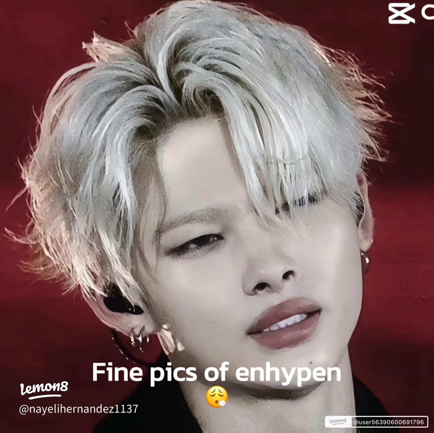 1444x1442 ENHYPEN OT6 Sybau Photo: Aesthetic Individual Member Portraits & Wallpaper !