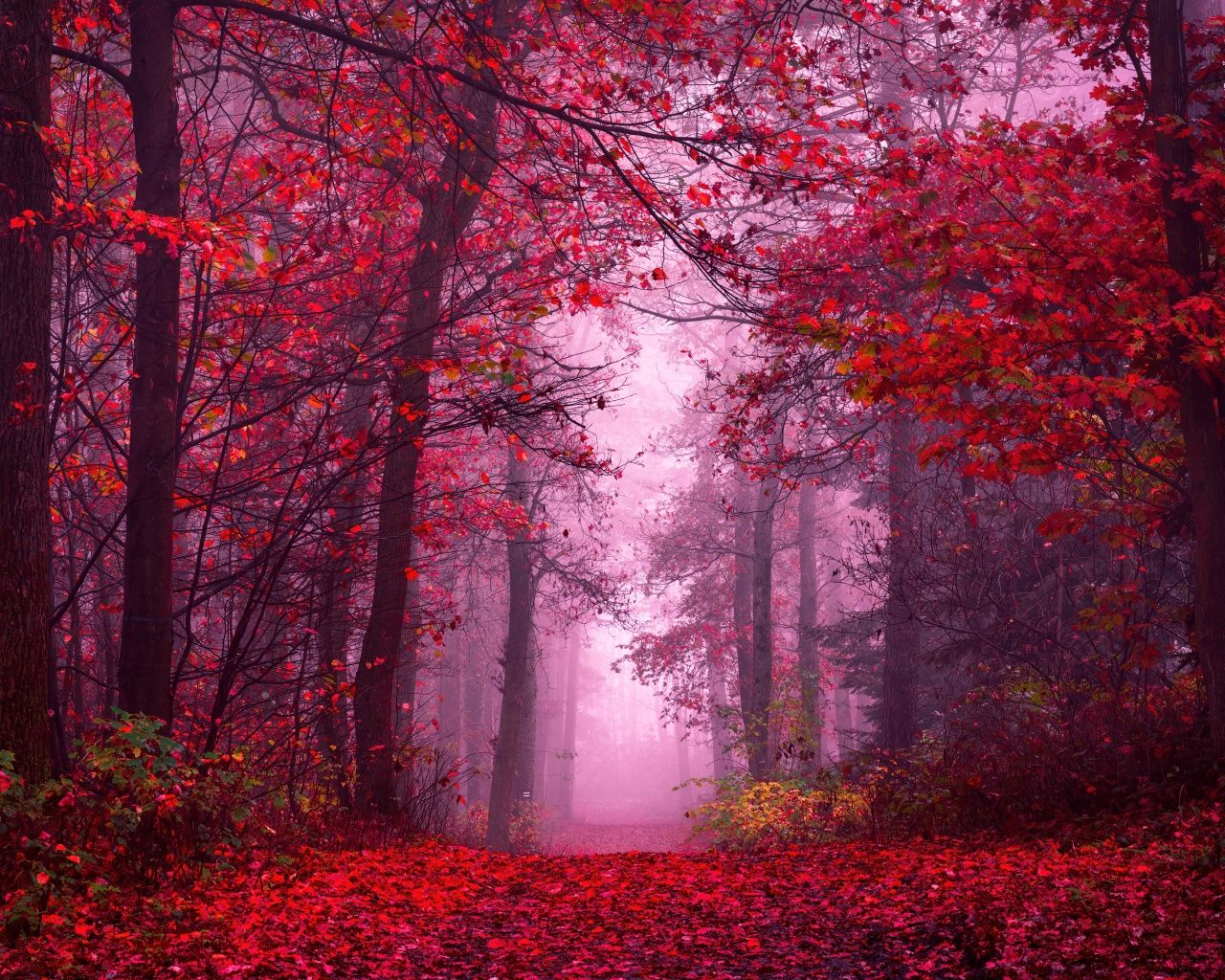 1280x1024 1280x1024 Fullscreen 5:4 High Quality Desktop Wallpaper for UltraHD TV, Smartphone, Tablet